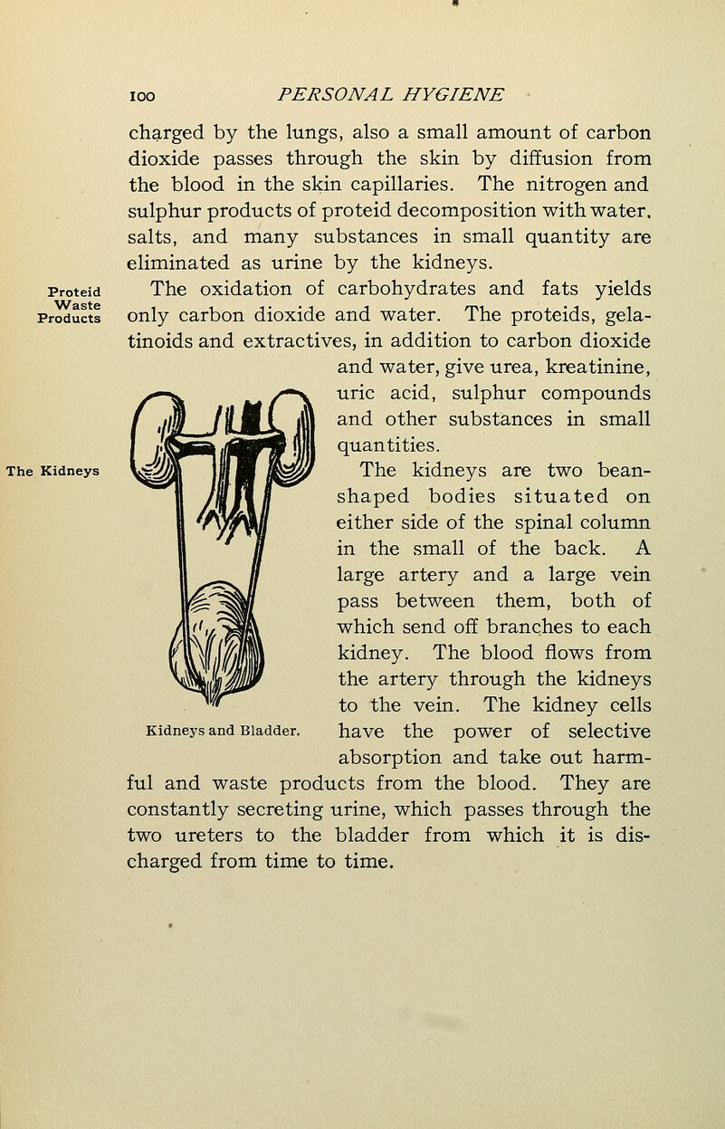 Proteid Waste Products charged by the lungs, also a small amount of carbon dioxide passes through the skin by diffusion from the blood in the skin capillaries. The nitrogen and sulphur products of proteid decomposition with water, salts, and many substances in small quantity are eliminated as urine by the kidneys. The oxidation of carbohydrates and fats yields only carbon dioxide and water. The proteids, gela- tinoids and extractives, in addition to carbon dioxide and water, give urea, kreatinine, uric acid, sulphur compounds and other substances in small quantities. The kidneys are two bean- shaped bodies situated on either side of the spinal column in the small of the back. A large artery and a large vein pass between them, both of which send off branches to each kidney. The blood flows from the artery through the kidneys to the vein. The kidney cells have the power of selective absorption and take out harm- ful and waste products from the blood. They are constantly secreting urine, which passes through the two ureters to the bladder from which it is dis- charged from time to time. Kidneys and Bladder.