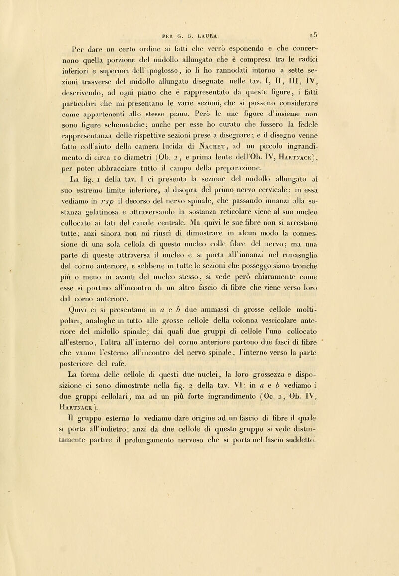 Per dare un cerio ordine ai fatti che verrò esponendo e che concer- nono quella porzione del midollo allungato che è compresa tra le radici inferiori e superiori dell'ipoglosso, io li ho rannodati intorno a sette se- zioni trasverse del midollo allungato disegnate nelle tav. I, II, III, IV, descrivendo, ad ogni piano che è rappresentato da queste figure, i fatti particolari che mi presentano le varie sezioni, che si possono considerare come appartenenti allo stesso piano. Però le mie figure d'insieme non sono figure schematiche; anche per esse ho curato che fossero la fedele rappresentanza delle rispettive sezioni prese a disegnare; e il disegno venne fatto coll'ainto della camera lucida di Nachet, ad un piccolo ingrandi- mento di circa io diametri (Ob. 2, e prima lente dell'Ob. IV, Hartnack), per poter abbracciare tutto il campo della preparazione. Ija fig. I della tav. I ci presenta la sezione del midollo allungato al suo estremo limite inferiore, al disopra del primo nervo cervicale : in essa vediamo in ì'sp il decorso del nervo spinale, che passando innanzi alla so- stanza gelatinosa e attraversando la sostanza reticolare viene al suo nucleo collocato ai lati del canale centrale. Ma quivi le sue fibre non si arrestano tutte; anzi sinora non mi riuscì di dimostrare in alcun modo la connes- sione di ima sola cellola di questo nucleo colle fibre del nervo; ma una parte di queste attraversa il nucleo e si porta all'innanzi nel rimasuglio del corno anteriore, e sebbene in tutte le sezioni che posseggo siano tronche più o meno in avanti del nucleo stesso, si vede però chiaramente come esse si portino all'incontro di un altro fascio di fibre che viene verso loro dal corno anteriore. Quivi ci si presentano in a e b due ammassi di grosse cellole molti- polari, analoghe in tutto alle grosse cellole della colonna vescicolare ante- riore del midollo spinale; dai quali due gruppi di cellole l'uno collocato all'esterno, l'altra all'interno del corno anteriore partono due fasci di fibre che vanno l'esterno all'incontro del nervo spinale, l'interno verso la parte posteriore del rafe. La forma delle cellole di questi due nuclei, la loro grossezza e dispo- sizione ci sono dimostrate nella fig. 2 della tav. VI: in a e è vediamo i due gruppi cellolari, ma ad un più forte ingrandimento (Oc. 2, Ob. IV, Hartnack ). Il gruppo esterno lo vediamo dare origine ad un fascio di fibre il quale si porta all'indietro; anzi da due cellole di questo gruppo si vede distin- tamente partirle il prolungamento nervoso che si porta nel fascio suddetto.