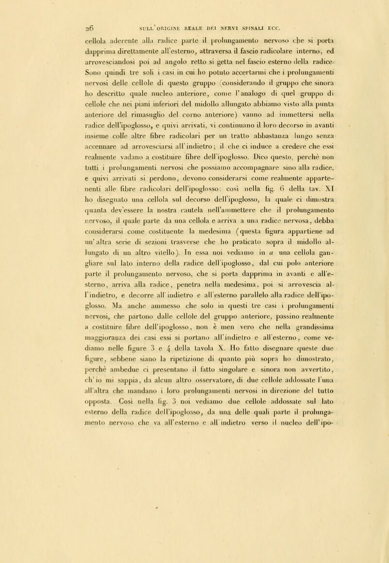 cellola aderente alla radice parte il prolungamento nervoso che si porta dapprima direttamente aliesterno, attraversa il fascio radicolare interno, ed arrovesciandosi poi ad angolo retto si ^etta nel fascio esterno della radice- Sono quindi Ire soli i casi in cui ho potuto accertarmi che i prolungamenti nervosi delle cellole di questo gruppo (considerando il gruppo che sinora ho descritto quale nucleo anteriore, come l'analogo di quel gruppo di cellole che nei piani inferiori del midollo allungato abbiamo visto alla punta anteriore del rimasuglio del corno anteriore) vanno ad immettersi nella radice dell'ipoglosso, e quivi arrivati, vi continuano il loro decorso in avanti insieme colle altre fibre radicolarì per un tratto abbastanza lungo senza accennare ad arrovesciarsi all'indietro; il che ci induce a credere che essi realmente vadano a costituire fibre dell ipoglosso. Dico questo, perchè non tutti i prolungamenti nervosi che possiamo accompagnare sino alla radice, e quivi arrivali si perdono, devono considerarsi come realmente apparte- nenti alle fibre radicolari dell'ipoglosso; cosi nella fig. G della lav. XI ho disegnato una cellola sul decorso dell'ipoglosso, la quale ci dimostra quanta dev'essere la nostra cautela nell'ammettere che il prolungamento nervoso, il quale parte da una cellola e arriva a una radice nervosa, debba considerarsi come costituente la medesima (questa figura appaitiene ad un' altra serie di sezioni trasverse che ho praticato sopra il midollo al- lungato di un altro vitello). In essa noi vediamo in a una cellola gan- gliare sul lato interno della radice dell ipoglosso, dal cui polo anteriore parte il prolungamento nervoso, che si porta dapprima in avanti e all'e- sterno, arriva alla radice, penetra nella medesima, poi si arrovescia al- Tindietro, e decorre all'indietro e all'esterno parallelo alla radice dell'ipo- glosso. Ma anche ammesso che solo in questi tre casi i prolungamenti nervosi, che partono dalle cellole del gruppo anteriore, passino realmente a costituire fibre dell'ipoglosso, non è man vero che nella grandissima maggioranza dei casi essi si portano all'indielro e all'esterno, come ve- diamo nelle figure 3 e 4 della tavola X. Ho fatto disegnare queste due figure, sebbene siano la ripetizione di quanto più sopra ho dimostrato, perchè ambedue ci presentano il latto singolare e sinora non avvertito, ch'io mi sappia, da alcun altro osservatore, di due cellole addossate l'una all'altra che mandano i loro prolungamenti nervosi in direzione del tutto opposta. Cosi nella (ig. 3 noi vediamo due cellole addossale sul lato esterno della radice dell'ipoglosso, da una delle quali parte il prolunga- mento nervoso che va all'esterjio e ali indietro verso il nucleo dell'ipo-