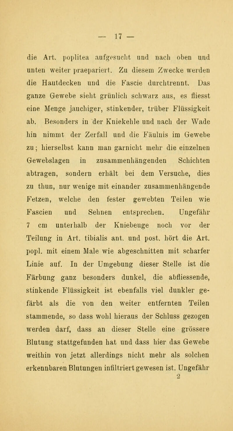 die Art. poplitea aufgesucht und nach oben und unten weiter praepariert. Zu diesem Zwecke werden die Hautdecken und die Fascie durchtrennt. Das ganze Gewebe sieht grünlich schwarz aus, es fliesst eine Menge jauchiger, stinkender, trüber Flüssigkeit ab. Besonders in der Kniekehle und nach der Wade hin nimmt der Zerfall und die Fäulnis im Gewebe zu; hierselbst kann man garnicht mehr die einzelnen Gewebslagen in zusammenhängenden Schichten abtragen, sondern erhält bei dem Versuche, dies zu thun, nur wenige mit einander zusammenhängende Fetzen, welche den fester gewebten Teilen wie Fascien und Sehnen entsprechen. Ungefähr 7 cm unterhalb der Kniebeuge noch vor der Teilung in Art. tibialis ant. und post. hört die Art. popl. mit einem Male wie abgeschnitten mit scharfer Linie auf. In der Umgebung dieser Stelle ist die Färbung ganz besonders dunkel, die abfliessende, stinkende Flüssigkeit ist ebenfalls viel dunkler ge- färbt als die von den weiter entfernten Teilen stammende, so dass wohl hieraus der Schluss gezogen werden darf, dass au dieser Stelle eine grössere Blutung stattgefunden hat und dass hier das Gewebe weithin von jetzt allerdings nicht mehr als solchen erkennbaren Blutungen infiltriert gewesen ist. Ungefähr 2