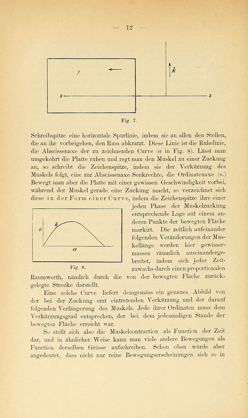 Fiff. 7. Sctreibspitze eine horizontale Spurlinie, indem sie an allen den Stellen, die an ihr vorbeigehen, den Russ abkratzt. Diese Linie ist die Euhelinie, die Abseissenaxe der zu zeichnenden Curve (a in Fig. 8). Lässt man umgekehrt die Platte ruhen und regt man den Muskel zu einer Zuckung an, so schreibt die Zeichenspitze, indem sie der Verküi'zung des Muskels folgt, eine zur Abseissenaxe Senki-echte, die Ordinatenaxe (o.) Bewegt man aber die Platte mit einer gewissen Greschwindigkeit vorbei, während der Muskel gerade eine Zuckung macht, so verzeichnet sich diese in der Form einer Curve, indem die Zeichenspitze ihre eiuer jeden Phase der Muskelzuckung entsprechende Lage auf einem an- deren Punkte der bewegten Fläche markirt. Die zeithch aufeinander folgenden Veränderungen der Mus- kelläuge werden hier gewisser- masseu räumlich auseinanderge- breitet, indem sich jeder Zeit- zuwachs durch einen proportionalen von der bewegteu Fläche zurück- gelegte Sti'ecke darstellt. Eine solche Cm-ve liefert demgemäss ein genaues Abbild von der bei der Zuckimg erst einti-eteuden Verkiü'zung und der darauf folgenden Verlängerung des Muskels. Jede ihi-er Ordinaten muss dem Verkürzungsgrad entsprechen, der bei dem jedesmaligen Stande der bewegten Fläche erreicht war. So stelh sich also die Muskelcontraction als Function der Zeit dar, und in ähnlicher Weise kann man viele andere Bewegungen als Schon oben wurde aber sich so in Raumwerth, nämlich dui'ch die Function derselben Grösse aufschreiben, angedeutet, da; ss mcht nui' reine Bewegungserscheinmigen