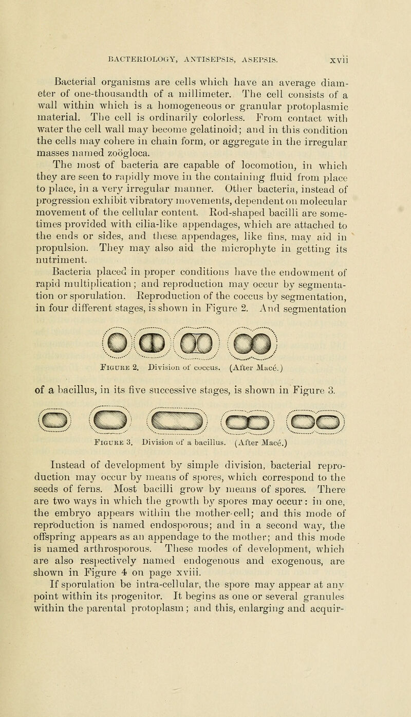 Bacterial organisms are cells which have an average diam- eter of one-thousandth of a millimeter. The cell consists of a wall within which is a homogeneous or granular protoplasmic material. The cell is ordinarily colorless. From contact with water the cell wall may hecome gelatinoid; and in this condition the cells may cohere in chain form, or aggregate in the irregular masses named zoogloca. The ]nost of bacteria are capable of locomotion, in which they are seen to rapidly move in the containing fluid from place to place, in a very irregular manner. Other bacteria, instead of progression exhibit vibratory movements, dependent on molecular movement of the cellular content. Rod-shaped bacilli are some- times provided with cilia-like appendages, which are attached to the ends or sides, and these appendages, like fins, may aid in propulsion. They may also aid the microphyte in getting its nutriment. Bacteria placed in proper conditions have the endowment of rapid multiplication; and reproduction may occur by segmenta- tion or sporulation. Reproduction of the coccus by segmentation, in four different stages, is shown in Figure 2. And segmentation Figure 2. Divibion ot coccus. (After Mace.) of a bacillus, in its five successive stages, is shown in Figure 3. Figure 3. Division of a bacillus. (After Mace.) Instead of development by simple division, bacterial repro- duction may occur by means of spores, which correspond to the seeds of ferns. Most bacilli grow by njeans of spores. There are two ways in which the growth by spores may occur: in one, the embryo appears within the mother-cell; and this mode of reproduction is named endosporous; and in a second wa}^ the offspring appears as an appendage to the mother; and this mode is named arthrosporous. These modes of development, which are also respectively named endogenous and exogenous, are shown in Figure 4 on page xviii. If sporulation be intra-cellular, the spore may appear at any point within its progenitor. It begins as one or several granules within the parental protoplasm ; and this, enlarging and acquir-