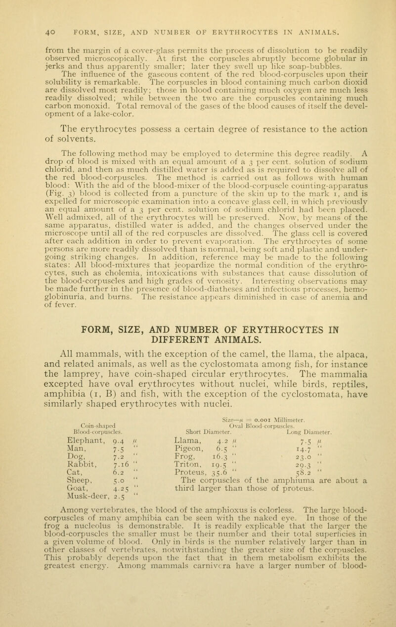 from the margin of a cover-glass permits the process of dissolution to be readily observed microscopicall}'. At lirst the corpuscles abruptly become globular in jerks and thus apparently smaller; later they swell up like soap-bubbles. The influence of the gaseous content of the red blood-corpu.scles upon their solubility is remarkable. The corpuscles in blood containing much carbon dioxid are dissolved most readily; those in blood containing much oxygen are much less readily dissolved; while between the two are the corpuscles containing much carbon monoxid. Total removal of the gases of the blood causes of itself the devel- opment of a lake-color. The erythrocytes possess a certain degree of resistance to the action of solvents. The following method may be employed to determine this degree readily. A drop of blood is mixed with an equal amount of a 3 per cent, solution of sodium chlorid, and then as much distilled water is added as is required to dissolve all of the red blood-corpuscles. The method is carried out as follows with human blood: With the aid of the blood-mixer of the blood-corpuscle counting-apparatus (Fig. 3) blood is collected from a puncture of the skin up to the mark i, and is expelled for microscopic examination into a concave glass cell, in which previously an equal amount of a 3 per cent, solution of sodium chlorid had been placed. Well admixed, all of the erythrocytes will be preserved. Now, by means of the same apparatus, distilled water is added, and the changes observed under the microscope until all of the red corpuscles are dissolved. The glass cell is covered after each addition in order to prevent evaporation. The erythrocytes of some persons are more readily dissolved than is normal, being soft and plastic and under- going striking changes. In addition, reference may be made to the following states: All blood-mixttires that jeopardize the normal condition of the erythro- cytes, such as cholemia, intoxications with substances that cause dissolution of the blood-corpuscles and high grades of venosity. Interesting observations may be made further in the presence of blood-diatheses and infectious processes, hemo- globinuria, and burns. The resistance appears diminished in case of anemia and of fever. FORM, SIZE, AND NUMBER OF ERYTHROCYTES IN DIFFERENT ANIMALS. All mammals, with the exception of the camel, the llama, the alpaca, and related animals, as well as the cyclostomata among fish, for instance the lamprey, have coin-shaped circular erythrocytes. The mammalia excepted have oval erythrocytes without nuclei, while birds, reptiles, amphibia (i, B) and fish, with the exception of the cyclostomata, have similarly shaped erythrocytes with nuclei. Coin-shaped Oval Blood-corpuscles. Blood-corpuscles. Short Diameter. Long Diameter. Elephant, 9-4 /' Llama, 4.2 // 7-5 /' Man, 7-5  Pigeon, 6.5  14.7  Dog, 7.2  Frog, 16.3  23.0  Rabbit, 7.16  Triton, 19.5  29-3  Cat, 6.2  Proteus, 35.6  .^8.2  Sheep, 5-0  The corpuscles of the amphiuma are about a Goat, 4-25  third larger than those of proteus. Musk-deer 2-5  Among vertebrates, the blood of the amphioxus is colorless. The large blood- corpuscles of many amphibia can be seen with the naked eye. In those of the frog a nucleohis is demonstrable. It is readily explicable that the larger the blood-corpuscles the smaller must be their number and their total superficies in a given voluine of blood. Only in birds is the number relatively larger than in other classes of vertebrates, notwithstanding the greater size of the corpuscles. This probably depends tipon the fact that in them metabolism exhibits the greatest energy. Among mammals carnivc ra have a larger number of blood-