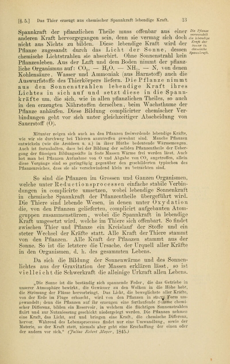 Spannkraft der pflanzlichen Theile nrass offenbar aus einer Die *P*» JL J- .-.. • 1 l l verwandelt anderen Kraft hervorgegangen sein, denn sie vermag sich doch die lebendige nicht aus Nichts zu bilden. Diese lebendige Kraft wird der ESA Pflanze zugesandt durch das Licht der Sonne, dessen chemische chemische Lichtstrahlen sie absorbirt. Ohne Sonnenstrahl kein Pflanzenleben. Aus der Luft und dem Boden nimmt der pflanz- liche Organismus auf: C02, — H20. — XH:;, — N, von denen Kohlensäure, Wasser und Ammoniak (aus Harnstoff) auch die Auswurfstoffe des Thierkörpers liefern. DiePflanze nimmt aus den Sonnenstrahlen lebendige Kraft ihres Lichtes in sich auf und setzt diese in die Spann- kräfte um, die sich, wie in allen pflanzlichen Theiles, so auch in den erzeugten Nährstoffen derselben, beim Wachsthume der Pflanze anhäufen. Diese Bildung complicirter chemischer Ver- bindungen geht vor sich unter gleichzeitiger Abscheidung von Sauerstoff (0). Mitunter zeigen sich auch an den Pflanzen freiwerdende lebendige Kräfte, wie wir sie durchweg bei Thieren anzutreffen gewohnt sind. Manche Pflanzen entwickeln (wie die Aro'ideen u. a.) in ihrer Bliithe bedeutende Wärmemengen. Auch ist festzuhalten, dass bei der Bildung der soliden Pflanzentheile der üeber- gang der flüssigen ßildungssäfte in feste Massen Wärme frei werden lässt. Audi hat man bei Pflanzen Aufnahme von 0 und Abgabe von C02 angetroffen, allein diese Vorgänge sind so geringfügig gegenüber den geschilderten typischen des Pflanzenreiches, dass sie als verschwindend klein zu betrachten sind. So sind die Pflanzen im Grossen und Ganzen Organismen, welche unter Reductionsprocessen einfache stabile Verbin- dungen in complicirte umsetzen, wobei lebendige Sonnenkraft in chemische Spannkraft der Pflanzentheile übergeführt wird. Die Thiere sind lebende Wesen, in denen unter Oxydation die, von den Pflanzen gelieferten, complicirt aufgebauten Atom- gruppen zusammenstürzen, wobei die Spannkraft in lebendige Kraft umgesetzt wird, welche im Thiere sich offenbart. So findet zwischen Thier und Pflanze ein Kreislauf der Stoffe und ein steter Wechsel der Kräfte statt. Alle Kraft der Thiere stammt von den Pflanzen. Alle Kraft der Pflanzen stammt aus der Sonne. So ist die letztere die Ursache, der Urquell aller Kräfte in den Organismen, d. h. des gesammten Lebens. Da sich die Bildung der Sonnenwärme und des Sonnen- lichtes aus der Gravitation der Hassen erklären lässt, so ist vielleicht die Schwerkraft die alleinige Urkraft allen Lebens. „Die Sonne ist die beständig sich spannende Feder, die das Getriebe in unserer Atmosphäre bewirkt, die Gewässer zu den Wolken in die Höhe hebt, die Strömung der Flüsse hervorbringt. Das Licht, die beweglichste aller Kräfte, von der Erde im Fluge erhascht, wird von den Pflanzen in starre Form um- gewandelt; denn die Pflanzen auf ihr erzeugen eine fortlaufende Summe chemi- scher Differenz, bilden ein Eeservoir, in welchem die flüchtigen Sonnenstrahlen flxirt und zur Nutzniessung geschickt niedergelegt werden. Die Pflanzen nehmen eine Kraft, das Licht, auf und bringen eine Kraft, die chemische Differenz, hervor. Während des Lebensprocesses findet nur eine Umwandlung, sowie der Slaterie, so der Kraft statt, niemals aber geht eine Erschaffung der einen oder der andern vor sich.' (Julius Robert Mayer, 1845J