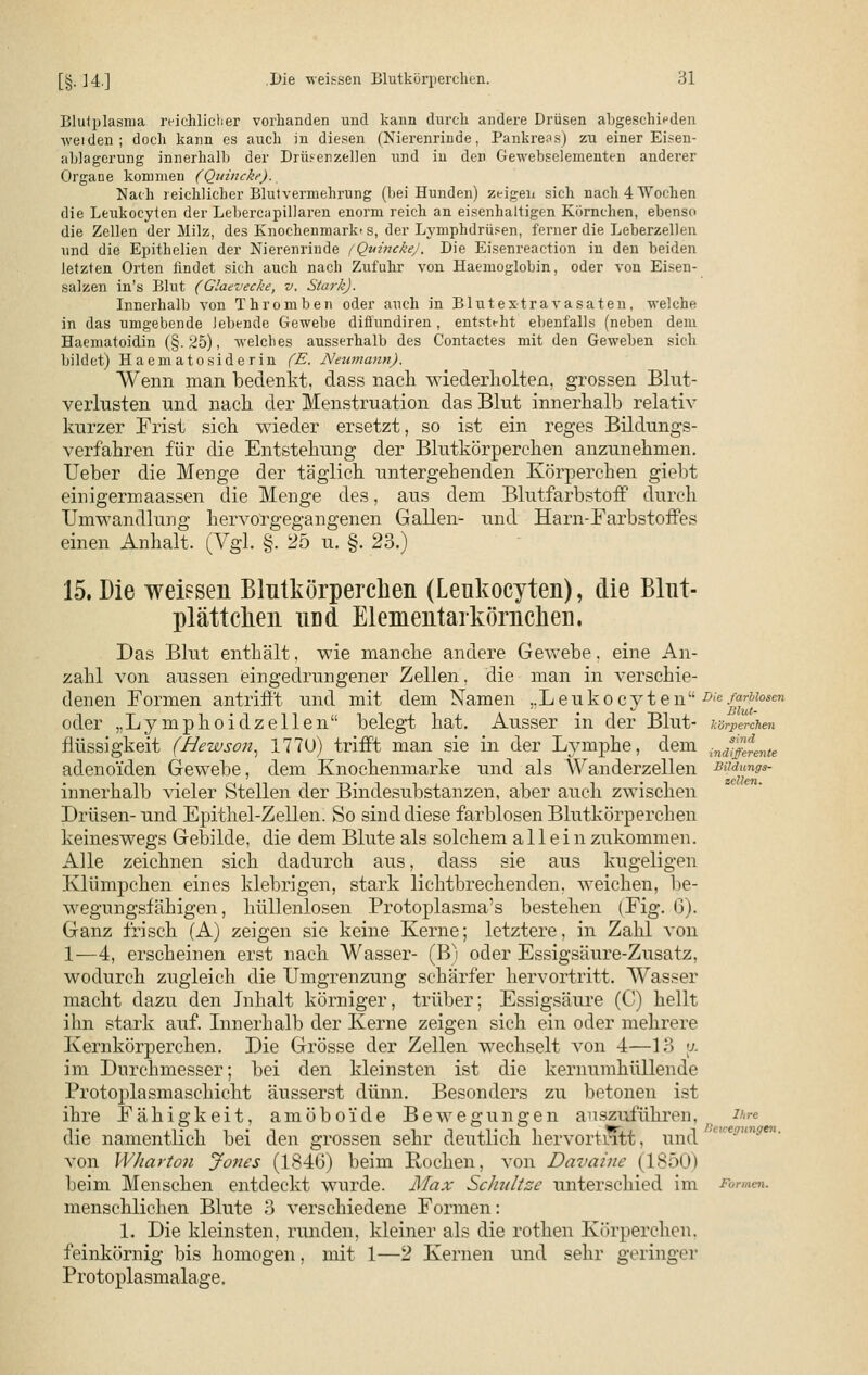 Blutplasma reichlicher vorbanden und kann durch andere Drüsen abgeschieden weiden; doch kann es auch in diesen (Nierenrinde, Pankreas) zu einer Eisen- ablagcrung innerhalb der Drüs-enzellen und in den Gewebselementen anderer Organe kommen (Quincke). Nach reichlicher Blutvermehrung (bei Hunden) zeigen sich nach 4 Wochen die Leukocyten der Lebercapillaren enorm reich an eisenhaltigen Körnchen, ebenso die Zellen der Milz, des Knochenmarios, der Lymphdrüsen, ferner die Leberzellen und die Epithelien der Nierenrinde (Quincke). Die Eisenreaction iu den beiden letzten Orten findet sich auch nach Zufuhr von Haemoglobin, oder von Eisen- salzen in's Blut (Glaevecke, v. Stark). Innerhalb von Thromben oder auch in Blutextravasäten, welche in das umgebende lebende Gewebe diffundiren , entsteht ebenfalls (neben dem Haematoidin (§.25), welches ausserhalb des Contactes mit den Geweben sieb bildet) Haematosiderin (E. Neumann). Wenn man bedenkt, dass nach wiederholten, grossen Blut- verlusten und nach der Menstruation das Blut innerhalb relativ kurzer Frist sich wieder ersetzt, so ist ein reges Bildungs- verfahren für die Entstehung der Blutkörperchen anzunehmen, lieber die Menge der täglich untergehenden Körperchen giebt einigermaassen die Menge des, aus dem Blutfarbstoff durch Umwandlung hervorgegangenen Gallen- und Harn-Farbstoffes einen Anhalt. (Vgl. §. 25 u. §. 23.) 15. Die weissen Blutkörperchen (Leukocyten), die Blut- plättchen UDd Elementarkörnchen. Das Blut enthält, wie manche andere Gewebe, eine An- zahl von aussen eingedrungener Zellen, die man in verschie- denen Formen antrifft und mit dem Namen „Leukocyten Die farblosen oder „Lymphoidzellen belegt hat. Ausser in der Blut- ksrperchen fiüssigkeit (Hewson, 177U) trifft man sie in der Lymphe, dem .inds^.mte adenoiden Gewebe, dem Knochenmarke und als Wanderzellen vmungs- innerhalb vieler Stellen der Bindesubstanzen, aber auch zwischen Drüsen- und Epithel-Zellen. So sind diese farblosen Blutkörperchen keineswegs Gebilde, die dem Blute als solchem allein zukommen. Alle zeichnen sich dadurch aus, dass sie aus kugeligen Klümpchen eines klebrigen, stark lichtbrechenden, weichen, be- wegimgsfähigen, hüllenlosen Protoplasma's bestehen (Fig. (3). Ganz frisch (A) zeigen sie keine Kerne; letztere, in Zahl von 1—4, erscheinen erst nach Wasser- (B) oder Essigsäure-Zusatz, wodurch zugleich die Umgrenzung schärfer hervortritt. Wasser macht dazu den Inhalt körniger, trüber; Essigsäure (C) hellt ihn stark auf. Innerhalb der Kerne zeigen sich ein oder mehrere Kernkörperchen. Die Grösse der Zellen wechselt von 4—13 \j. im Durchmesser; bei den kleinsten ist die kernumhüllende Protoplasmaschicht äusserst dünn. Besonders zu betonen ist ihre Fähigkeit, amöboide Bewegungen auszuführen die namentlich bei den grossen sehr deutlich hervortritt, und von WJiarton Jones (1846) beim Rochen, von Davaine (1850) beim Menschen entdeckt wurde. Max Schnitze unterschied im menschlichen Blute 3 verschiedene Formen: 1. Die kleinsten, runden, kleiner als die rothen Körperchen, feinkörnig bis homogen, mit 1—2 Kernen und sehr geringer Protoplasmalage. Ihre Bewegungen.