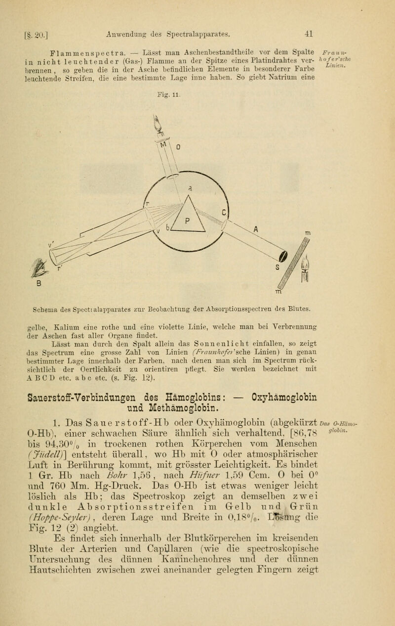 Linien. Flamm enspectra. — Lässt man Aschenbestandtheile vor dem Spalte Fraun- in nicht leuchtender (Gas-) Flamme an der Spitze eines Platindrahtes ver- hoSfJ. brennen , so geben die in der Asche befindlichen Elemente in besonderer Farbe leuchtende Streifen, die eine bestimmte Lage inne haben. So giebt Natrium eine Fig. 11. K Schema des Spectialapparates zur Beobachtung der Absorptionsspectreu des Blutes. gelbe, Kalium eine rothe und eine violette Linie, welche man bei Verbrennung der Aschen fast aller Organe findet. Lässt man durch den Spalt allein das Sonnenlicht einfallen, so zeigt das Spectrum eine grosse Zahl von Linien (Fraunhofer* sdne Linien) in genau bestimmter Lage innerhalb der Farben, nach denen man sich im Spectrum rück- sichtlich der Oertlichkeit zu orientiren pflegt. Sie werden bezeichnet mit ABCD etc. abc etc. (s. Fig. 12). Sauerstoff-Verbindungen des Hämoglobins: — Oxyhämoglobin und Methämoglobin. 1. Das Saue rstoff-Hb oder Ox^yhärooglobin (abgekürzt Das o-sumo- O-Hb), einer schwachen Säure ähnlich sich verhaltend. [S(>,7S glohin- bis 94,o0° o in trockenen rotten Körperchen vom Menschen (Jiidellj\ entsteht überall, wo Hb mit 0 oder atmosphärischer Luft in Berührung kommt, mit grösster Leichtigkeit. Es bindet ) Gr. Hb nach Bohr 1,56, nach Hiifner 1.50 Ccm. 0 bei 0° und 760 Mm. Hg-Druck. Das O-Hb ist etwas weniger leicht löslich als Hb; das Spectroskop zeigt an demselben zwei dunkle Absorptionsstreifen im Gelb und Grün (Hoppe-Seyler) , deren Lage und Breite in 0,18°/o- tÄ^Äng dir Fig. 12 (2) angiebt. Es findet sich innerhalb der Blutkörperchen im kreisenden Blute der Arterien und Capülaren (wie die spectroskopiscke Untersuchung des dünnen Kaninchenohres und der dünnen Hantschichten zwischen zwei aneinander gelegten Fingern zeigt