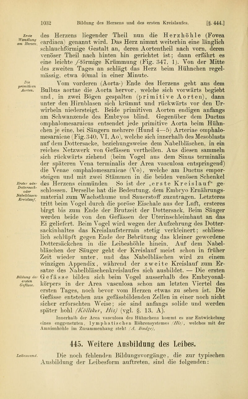 Erste Wandlung am Herzen. Die primitiven Erster oder Doltersack- oder Nabelblasen- Kreislauf. Bildung der ersten Gefasse. des Herzens liegender Theil nun die Herzhöhle (Fovea cardiaca) genannt wird. Das Herz nimmt weiterhin eine länglich schlauchförmige Gestalt an, deren Aortentheil nach vorn, deren venöser Theil nach hinten hin gerichtet ist; dann erfährt es eine leichte /-förmige Krümmung (Fig. 347, 1). Von der Mitte des zweiten Tages an schlägt das Herz beim Hühnchen regel- mässig, etwa 40mal in einer Minute. Vom vorderen (Aorta-) Ende des Herzens geht aus dem Bulbus aortae die Aorta hervor, welche sich vorwärts begiebt und, in zwei Bögen gespalten (primitive Aorten), dann unter den Hirnblasen sich krümmt und rückwärts vor den Ur- wirbeln niedersteigt. Beide primitiven Aorten endigen anfangs am Schwanzende des Embryos blind. Gegenüber dem Ductus omphalomesaraicus entsendet jede primitive Aorta beim Hühn- chen je eine, bei Säugern mehrere (Hund 4—5) Arteriae omphalo- mesaraicae (Fig. 340, VI, Ao), welche sich innerhalb des Mesoblasts auf dem Dottersacke, beziehungsweise dem Nabelbläschen, in ein reiches Netzwerk von Gefässen vertheilen. Aus diesen sammeln sich rückwärts ziehend (beim Vogel aus dem Sinus terminalis der späteren Vena terminalis der Area vasculosa entspringend) die Venae omphalomesaraicae (Vo), welche am Ductus empor- steigen und mit zwei Stämmen in die beiden venösen Schenkel des Herzens einmünden. So ist der „erste Kreislauf ge- schlossen. Derselbe hat die Bedeutung, dem Embryo Ernährungs- material zum Wach stimme und Sauerstoff zuzutragen. Letzteres tritt beim Vogel durch die poröse Eischale aus der Luft, ersteres birgt bis zum Ende der Brutzeit der Dottersack. Beim Säuger werden beide von den Gefässen der Uterinschleimhaut an das Ei geliefert. Beim Vogel wird wegen der Aufzehrung des Dotter- sackinhaltes das Kreislaufsterrain stetig verkleinert; schliess- lich schlüpft gegen Ende der Bebrütung das kleiner gewordene Dottersäckchen in die Leibeshöhle hinein. Auf dem Nabel- bläschen der Säuger geht der Kreislauf meist schon in früher Zeit wieder unter. und das Nabelbläschen wird zu einem winzigen Appendix, während der zweite Kreislauf zum Er- sätze des Nabelbläschenkreislaufes sich ausbildet. — Die ersten Gefässe bilden sich beim Vogel ausserhalb des Embryonal- körpers in der Area vasculosa schon am letzten Viertel des ersten Tages, noch bevor vom Herzen etwas zu sehen ist. Die Gefässe entstehen aus gefässbildenden Zellen in einer noch nicht sicher erforschten Weise; sie sind anfangs solide und werden später hohl (Kölliker, His) (vgl. §. 13, A). Innerhalb der Area vasculosa des Hühnchens kommt es zur Entwickelung eines enggenetzten, lymphatischen Röhrensystemes (His), welches mit der Amnionhöhle im Zusammenhang steht (A. Budge). Leibesvjand. 445. Weitere Ausbildung des Leibes. Die noch fehlenden Bildungsvorgänge, die zur typischen Ausbildung der Leibesform auftreten, sind die folgenden: