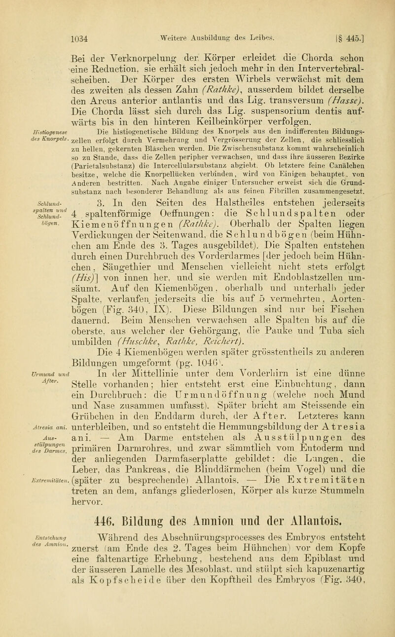 Bei der Verknorpelung der. Körper erleidet die Chorda schon •eine Rednction. sie erhält sich jedoch mehr in den Intervertebral- scheiben. Der Körper des ersten Wirbels verwächst mit dem des zweiten als dessen Zahn (Rathke), ausserdem bildet derselbe den Arcus anterior antlantis und das Lig. transversum (Hasse). Die Chorda lässt sich durch das Lig. Suspensorium dentis auf- wärts bis in den hinteren Keilbeinkörper verfolgen. Histiogenese Die histiogenetische Bildung des Knorpels aus den indifferenten Bildungs- des Knorpeh. ze\\en erfolgt durch Vermehrung und Vergrößerung der Zellen, die schliesslich zu hellen, gekernten Bläschen werden. Die Zwischensubstanz kommt wahrscheinlich so zu Stande, dass die Zellen peripher verwachsen, und dass ihre äusseren Bezirke (Parietalsubstanz) die Intercelhüarsubstanz abgiebt. Ob letztere feine Canälchen besitze, welche die Knorpellücken verbinden, wird von Einigen behauptet, von anderen bestritten. Nach Angabe einiger Untersucher erweist sich die Grund- substanz nach besonderer Behandlung als aus feinen Fibrillen zusammengesetzt. Schlund- 3. In den Seiten des Halstheiles entstehen jederseits spsclhund-d 4 spaltenförmige Oeffnungen: die Schlundspalten oder lögen. Kiemenö f f nung e n (Rathke). Oberhalb der Spalten liegen Verdickungen der Seitenwand, die Schlundbögen (beim Hühn- chen am Ende des 3. Tages ausgebildet). Die Spalten entstehen durch einen Durchbruch des Vorderdarmes [der jedoch beim Hühn- chen . Säugethier und Menschen vielleicht nicht stets erfolgt (HisJ\ von innen her, und sie werden mit Endoblastzellen um- säumt. Auf den Kiemenbögen. oberhalb und unterhall) jeder Spalte, verlaufen jederseits die bis auf 5 vermehrten, Aorten- bögen (Fig. 340, IX). Diese Bildungen sind nur bei Fischen dauernd. Beim Menschen verwachsen alle Spalten bis auf die oberste, aus welcher der Gehörgang, die Pauke und Tuba sich umbilden (Huschke, Rathke, Reichert). Die 4 Kiemenbögen werden später grösstentheils zu anderen Bildungen umgeformt (pg. 104GV. Urmund und In der Mittellinie unter dem Vorderhirn ist eine dünne A/ter. grelle vorhanden; hier entsteht erst eine Einbuchtung, dann ein Durchbruch: die Urmund Öffnung (welche noch Mund und Nase zusammen umfasst). Später bricht am Steissende ein Grübchen in den Enddarm durch, der After. Letzteres kann Atresia am. unterbleiben, und so entsteht die Hemmungsbildung der Atresia Aus- a n i. — Am Darme entstehen als Ausstülpungen des dlfPDarmeS. primären Darmrohres, und zwar sämmtlich vom Entoderm und der anliegenden Darmfaserplatte gebildet: die Lungen, die Leber, das Pankreas, die Blinddärmchen (beim Vogel) und die Extremitäten.(später zu besprechende) Allantois. — Die Extremitäten treten an dem, anfangs gliederlosen, Körper als kurze Stummeln hervor. 446. Bildung des Amnion und der Allantois. FMstehung Während des Abschnürungsprocesses des Embryos entsteht ' zuerst (am Ende des 2. Tages beim Hühnchen) vor dem Kopfe eine faltenartige Erhebung, bestehend aus dem Epiblast und der äusseren Lamelle des Mesoblast. und stülpt sich kapuzenartig als Kopfscheide über den Kopftheil des Embryos (Fig. 340,