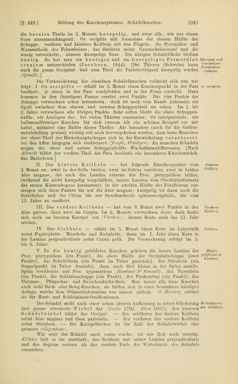 Häutige* und knorpeliues Primordial- eraniuni. Hinteres Keilbein. die basalen Theile im 2. Monate knorpelig-, und zwar alle, wie aus einem Guss zusammenhängend: Os oeeipitis mit Ausnahme der oberen Hälfte der Schuppe, vorderes und hinteres Keilbein mit den Flügeln, die Pyramiden und Warzentheile des Felsenbeines, das Siebbein nebst Nasenscheidewand und die wenig entwickelte, äussere knorpelige Nase. Die übrigen Schädeltheile bleiben häutig. So hat man ein häutiges und ein knorpeliges Primordial- cranium unterschieden (Jacobson, 1844). [Bei Thieren (Schwein) kann auch die ganze Occipital- und zum Theil die Parietal-Gegend knorpelig werden {SpöndliJ.~\ Die Yerknöcherung der einzelnen Schädelknochen vollzieht sich nun wie folgt: I. Os oeeipitis — erhält im 3- Monat einen Knochenpunkt in der Pars Os oeeipitis hasilaris, je einen in der Pars condyloidea und in der Fossa cerebelli. Dazu kommen in den (häutigen) Fossae cerebri zwei Punkte Die vier Pnnkte der Schuppe verwachsen schon intrauterin, doch ist noch vom Rande jederseits ein Spalt zwischen dem oberen und unteren Schuppentheil zu sehen. Im 1. bis 2. Jahre verwachsen alle übrigen Punkte. Sehr selten bleibt die obere Schuppen- hälfte. als Analogon des, bei vielen Thieren constanten. Os interparietale, ein halbmondförmiger Knochen für sich (wovon ich ein schönes Beispiel vor mir habe), mitunter eine Hälfte dieses Theiles. Als besonders (auch für die Gehirn- entwickelung gewiss) wichtig soll noch hervorgehoben werden, dass beim Menschen der obere Theil der Hinterhauptschuppe sich iu der Entwickelung vergrössert. bei den Affen hingegen sich verkleinert fjosepli, IValdeyer;. An manchen Schädeln zeigen die obere und untere Schuppenhiilfte Wachsthumsdifferenzen. [Nach Albrecht bildet der vordere Theil der Pars basilaris ein besonderes Knochenstück, das Basioticum ] II. Das hintere Keilbein — hat folgende Knochenpunkte vom 3. Monat an: zwei in der Seila turcica, zwei im Sulcus caroticus. zwei in beiden Alae magnae, die auch die Lamina externa des Proc. pterygoideus bilden, (während die nicht knorpelig vorgebildete, innere Lamina vom Oberkieferfortsatz des ersten Kiemenbogens herstammt). In der zweiten Hälfte des Fötallebens ver- einigen sich diese Punkte bis auf die Alae magnae; knorpelig ist dann noch die Sattellehne und der Clivus bis zur Synchondrosis sphenooccipitalis, die vom 13. Jahre an ossificirt. III. Das vordere Keilbein — hat vom 8. Monat zwei Punkte in den Alae parvae, dann zwei im Corpus. Im 6. Monate verwachsen diese, doch findet sich noch im Inneren Knorpel vor Virchow , dessen Reste noch das 13. Jahr erleben. IV. Das Siebbein — erhält im 5. Monat einen Kern im Labyrinth Siebbein. nebst Papierplatte. Muscheln und Siebplatte, dann im 1. Jahr einen Kern in der Lamina perpendicularis nebst Crista galli. Die Verwachsung erfolgt im 5- bis 6. Jahre. V. Zu den häutig gebildeten Knochen gehören die innere Lamina des Bäuti-i Proc. pterygoideus (ein Punkt), die obere Hälfte der Occipitalschuppe (zwei Pr«f°™irte Punkte), das Scheitelbein (ein Punkt im Tuber parietale), das Stirnbein (ein Doppelpunkt im Tuber frontale). dazu noch drei kleine in der Spina nasalis. Spina trochlearis und Proc. zygomaticus (Rambaut & Renault), das Nasenbein (ein Punkt), die Schläfenschuppe (ein Punkt), der Paukenring (ein Punkt), das Thränen-, Pflugschar- und Zwischenkiefer-Bein. Man nennt alle diese Knochen auch wohl Deck- oder Beleg-Knochen; sie bilden sich in einer besonderen häutigen Anlage, welche dem Primordialeranium von aussen anliegt. O. Hertwig erklärt sie für Haut- und Schleimhaut-Ussiticationen. Der Schädel stellt nach einer schon älteren Auffassung in seiner Gliederung WirteUKeari* drei grosse erweiterte Wirbel dar Goethe Yt^i, Oken 1807); den hinteren** Schädel». S chädel w i r bei bildet das Occiput, — den mittleren das hintere Keilbein nebst Alae magnae und Ossa parietalia, — den vorderen das vordere Keilbein nebst Stirnbein. — Bei Knorpelfischen ist die Zahl der Schädelwirbel eine grössere (Gegenbaur . Wie weit der Schädel nach vorne reiche, ist zur Zeit noch streitig. Kölliker hält es für statthaft, das Siebbein mit seiner Lamina perpendicularis und das Septum nariuin als das vordere Ende der Wirbelsäule des Schädels anzusehen. Vorderes Keilbein.