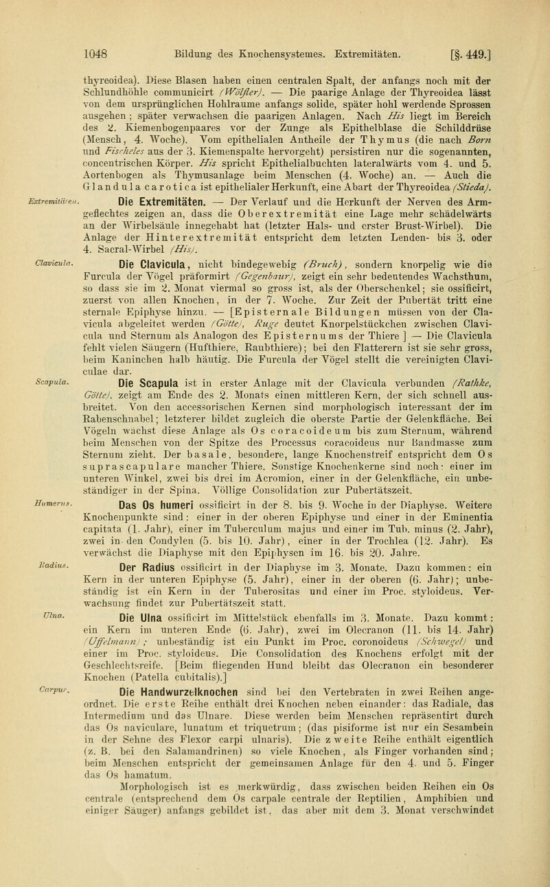 Thyreoidea). Diese Blasen haben einen centralen Spalt, der anfangs noch mit der Schlundhöhle communicirt f Wölfler), — Die paarige Anlage der Thyreoidea lässt von dem ursprünglichen Hohlräume anfangs solide, später hohl werdende Sprossen ausgehen ; später verwachsen die paarigen Anlagen. Nach His liegt im Bereich des 2. Kiemenbogenpaares vor der Zunge als Epithelblase die Schilddrüse (Mensch, 4. Woche). Vom epithelialen Antheile der Thymus (die nach Born und Fischeies aus der 3. Kiemenspalte hervorgeht) persistiren nur die sogenannten, concentrischen Körper. His spricht Epithelialbuchten lateralwärts vom 4. und 5. Aortenbogen als Thymusanlage beim Menschen (4. Woche) an. — Auch die Glandula caroticaist epithelialer Herkunft, eine Abart der Thyreoidea fSHedaJ. Extremitäten. Die Extremitäten. — Der Verlauf und die Herkunft der Nervea des Arm- geflechtes zeigen an, dass die Oberextremität eine Lage mehr schädelwärts an der Wirbelsäule innegehabt hat (letzter Hals- und erster Brust-Wirbel). Die Anlage der Hinterextremität entspricht dem letzten Lenden- bis 3. oder 4. Sacral-AVirbel (Hisj. Clavicula. Die Clavicula. nicht bindegewebig (Bruch), sondern knorpelig wie die Furcula der Vögel präformirt (Gegenbaur), zeigt ein sehr bedeutendes Wachsthum, so dass sie im 2. Monat viermal so gross ist, als der Oberschenkel; sie ossifleirt, zuerst von allen Knochen, in der 7. Woche. Zur Zeit der Pubertät tritt eine stemale Epiphyse hinzu. — [Episternale Bildungen müssen von der Cla- vicula abgeleitet werden (Gölte), Rüge deutet Knorpelstückchen zwischen Clavi- cula und Sternum als Analogon des Episternums der Thiere ] — Die Clavicula fehlt vielen Säugern (Hufthiere, Raubthiere); bei den Flatterern ist sie sehr gross, beim Kaninchen halb häutig. Die Furcula der Vögel stellt die vereinigten Clavi- culae dar. Scapula. Die Scapula ist in erster Anlage mit der Clavicula verbunden (Rathke, Gölte), zeigt am Ende des 2. Monats einen mittleren Kern, der sich schnell aus- breitet. Von den accessorischen Kernen sind morphologisch interessant der im Rabenschnabel; letzterer bildet zugleich die oberste Partie der Gelenkfläche. Bei Vögeln wächst diese Anlage als Os coraeoideum bis zum Sternum, während beim Menschen von der Spitze des Processus coraeoideus nur Bandmasse zum Sternum zieht. Der basale, besondere, lange Knochenstreif entspricht dem Os suprascapulare mancher Thiere. Sonstige Knochenkerne sind noch: einer im unteren Winkel, zwei bis drei im Acromion, einer in der Gelenkfläche, ein unbe- ständiger in der Spina. Völlige Consolidation zur Pubertätszeit. Humerus. Qas Qs humeri ossifleirt in der 8. bis 9- Woche in der Diaphyse. Weitere Knochenpunkte sind: einer in der oberen Epiphyse und einer in der Eminentia capitata (1. Jahr), einer im Tuberculum majus und einer im Tub. minus (2. Jahr), zwei in-den Condylen (5. bis 10. Jahr), einer in der Trochlea (12. Jahr). Es verwächst die Diaphyse mit den Epiphysen im 16. bis 20. Jahre. Radius. Der Radius ossifleirt in der Diaphyse im 3. Monate. Dazu kommen: ein Kern in der unteren Epiphyse (5. Jahr), einer in der oberen (6. Jahr); unbe- ständig ist ein Kern in der Tuberositas und einer im Proc. styloideus. Ver- wachsung findet zur Pubertätszeit statt. mna- Die Ulna ossifleirt im Mittelstück ebenfalls im 3. Monate. Dazu kommt: ein Kern im unteren Ende (6. Jahr), zwei im Olecranon (11. bis 14. Jahr) (Uffelmaimj; unbeständig ist ein Punkt im Proc. coronoideus (Schwegel) und einer im Proc. styloideus. Die Consolidation des Knochens erfolgt mit der Geschlechtsreife. [Beim fliegenden Hund bleibt das Olecranon ein besonderer Knochen (Patella cubitalis).] Carpur. Qje HandwurztIknochen sind Lei den Vertebraten in zwei Reihen ange- ordnet. Die erste Reihe enthält drei Knochen neben einander: das Radiale, das Litermedium und das Ulnare. Diese werden beim Menschen repräsentirt durch das Os naviculare, lunatum et triquetrum; (das pisiforme ist nur ein Sesambein in der Sehne des Flexor carpi ulnaris). Die zweite Reihe enthält eigentlich (z. B. bei den Salamandrinen) so viele Knochen, als Finger vorhanden sind; beim Menschen entspricht der gemeinsamen Anlage für den 4. und 5. Finger das Os hamatum. Morphologisch ist es merkwürdig, dass zwischen beiden Reihen ein Os centrale (entsprechend dem Os carpale centrale der Reptilien, Amphibien und einiger Säuger) anfangs gebildet ist, das aber mit dem 3. Monat verschwindet