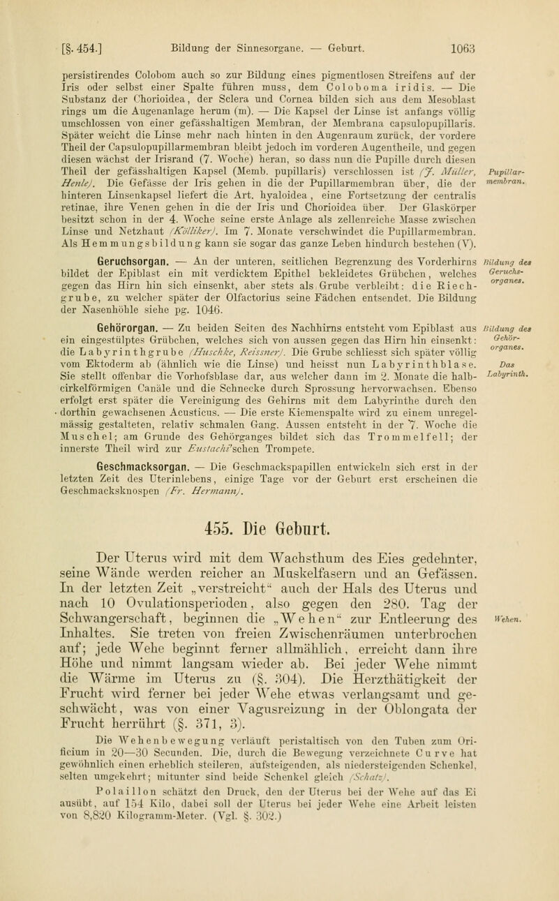 persistirendes Colobom auch so zur Bildung eines pigmentlosen Streifens auf der Iris oder selbst einer Spalte führen muss, dem Coloboma iridis. — Die Substanz der Ohorioidea, der Sclera und Cornea bilden sich aus dem Mesoblast rings um die Augenanlage herum (m). — Die Kapsel der Linse ist anfangs völlig umschlossen von einer gefässhaltigen Membran, der Membrana capsulopupillaris. Später weicht die Linse mehr nach hinten in den Augenraum zurück, der vordere Theil der Capsulopupillarmembran bleibt jedoch im vorderen Augentheile, und gegen diesen wächst der Irisrand (7. AVoche) heran, so dass nun die Pupille durch diesen Theil der gefässhaltigen Kapsel (Memb. papillaris) verschlossen ist (J. Müller, HenleJ. Die Gefässe der Iris gehen in die der Pupillarmembran über, die der hinteren Linsenkapsel liefert die Art. hyaloidea , eine Fortsetzung der centralis retinae, ihre Venen gehen in die der Iris und Chorioidea über. Der Glaskörper besitzt schon in der 4. AVoche seine erste Anlage als zellenreiche Masse zwischen Linse und Netzhaut (Kölliker). Im 7. Monate verschwindet die Pupillarmembran. Als Hemmungsbildung kann sie sogar das ganze Leben hindurch bestehen (V). Geruchsorgan. — An der unteren, seitlichen Begrenzung des Vorderhirns bildet der Epiblast ein mit verdicktem Epithel bekleidetes Grübchen, welches gegen das Hirn hin sich einsenkt, aber stets als Grube verbleibt: die Riech- grube, zu welcher später der Olfactorius seine Fädchen entsendet. Die Bildung der Nasenhöhle siehe pg. 1046. Gehörorgan. — Zu beiden Seiten des Nachhirns entsteht vom Epiblast aus ein eingestülptes Grübchen, welches sich von aussen gegen das Hirn hin einsenkt: die Labyrinthgrube (Huschke, ReissnerJ. Die Grube schliesst sich später völlig vom Ektoderm ab (ähnlich wie die Linse) und heisst nun Labyrinthblase. Sie stellt oifenbar die Vorhofsblase dar, aus welcher dann im 2. Monate die halb- cirkeiförmigen Canäle und die Schnecke durch Sprossung hervorwachsen. Ebenso erfolgt erst später die Vereinigung des Gehirns mit dem Labyrinthe durch den dorthin gewachsenen Acusticus. — Die erste Kiemenspalte wird zu einem unregel- mässig gestalteten, relativ schmalen Gang. Aussen entsteht in der 7- Woche die Muschel; am Grunde des Gehörganges bildet sich das Trommelfell; der innerste Theil wird zur Etes/ac/ii'schen Trompete. Geschmacksorgan. — Die Geschmackspapillen entwickeln sich erst in der letzten Zeit des Uterinlebens, einige Tage vor der Geburt erst erscheinen die Geschmacksknospen (Fr. Hermann). Pupillar- membran. Bildung des Geruchs- organes. Bildung des Gehör- organes. Labyrinth. 455. Die Gebnrt. Der Uterus wird mit dem Wachsthum des Eies gedehnter, seine Wände werden reicher an Muskelfasern und an Gefässen. In der letzten Zeit „verstreicht' auch der Hals des Uterus und nach 10 Ovulationsperioden, also gegen den 280. Tag der Schwangerschaft, beginnen die „Wehen zur Entleerung des Inhaltes. Sie treten von freien Zwischenräumen unterbrochen auf; jede Wehe beginnt ferner allmählich, erreicht dann ihre Höhe und nimmt langsam wieder ab. Bei jeder Wehe nimmt die Wärme im Uterus zu (§. 304). Die Herzthätigkeit der Frucht wird ferner bei jeder Wehe etwas verlangsamt und ge- schwächt, was von einer Vagusreizung in der Oblongata der Frucht herrührt (§. 371, 3). Die Wehenbewegung verläuft peristaltisch von den Tuben zum <»ri- Jicium in 20—30 Secunden. Die, durch die Bewegung verzeichnete Curve hat gewöhnlich einen erheblich steileren, aufsteigenden, als niedersteigenden Schenkel, selten umgekehrt; mitunter sind Leide Schenkel gleich (Schah . Polaillon schätzt den Druck, den der Uterus bei der Wehe auf 'las Ei ausübt, auf 154 Kilo, dabei soll der Uterus bei jeder Wehe eine Arbeit leisten von 8,820 Kilogramm-Meter. (Vgl. §. 302.) Wehen.