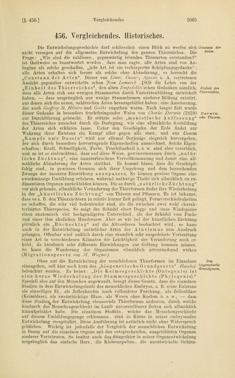 456. Vergleichendes. Historisches. Die Entwickelungsgeschiehte darf schliesslich einen Blick zu werfen sich Constanz der nicht versagen auf die allgemeine Entwickelung des ganzen Thierreiches. Die Arten. Frage: „Wie sind die zahllosen, gegenwärtig lebenden Thierarten entstanden? ist theilweise so beantwortet worden , dass man sagte, alle Arten sind von An- beginn als solche geschalten, „jede Art ist ein verkörperter Schöpfungsgedanke ; alle Arten erhalten sich ferner als solche ohne Abänderung, es herrscht die „Constanz der Arten. Dieser von Li'nne. Cuvtf-, Agassiz u. A. vertretenen Ansicht gegenüber entwickelte schon Jean Lamarck 1809 die Lehre von der „Einheit des Thierreiclies, den alten Empedokles'sehen Gedanken nämlich, Einheit de» dass alle Arten sich aus wenigen Stammarten durch Varietätenbildung entwickelt Tierreiches. haben, — dass ursprünglich nur wenige Stammformen niederer Bildung existirt, aus denen sich die neuen, zahlreichen Arten herausgebildet haben : eine Anschauung, der auch Geoffroy St. Hilaire und Goethe zugethan waren. Nach langer Zeit wurde dieser Gedanke in besonders fruchtbringender Weise von Charles Darwin (1859) Darwin- zur Durchführung gebracht. Er stützte seine ,.monistische Auffassung sche Theorie. des Thierreiches zunächst durch die Darlegung, wie eine allmähliche Ausbildung der Arten sich erklären lasse. Unter den Geschöpfen der Erde findet zur Wahrung ihrer Existenz ein Kampf aller gegen alle statt, und aus diesem „Kampfe um's Dasein wird nur allemal Derjenige siegreich hervorgehen, der sich durch besonders hervorragende Eigenschaften auszeichnet. Solche Eigen- schaften: Kraft, Schnelligkeit, Farbe, Fruchtbarkeit u. s. w. sind aber vererblich, und so ist es einleuchtend, dass auf diese Weise, gewissermaassen durch „natür- liche Züchtung, eine ununterbrochene Vervollkommnung und damit eine all- mähliche Abänderung der Arten statthat. Es kommt hinzu, dass die Geschöpfe fähig sind, in gewissen Grenzen sich ihrer Umgehung und dem herrschenden Zwange der äusseren Einwirkung anzupassen. So können gewisse Organe eine zweckmässige Umbildung erfahren, während unthätige Theile sich allmählich zu ru- dimentären Organen zurückbilden können. Die so durch „n atürliche Z ü chtung vor sich gehende, allmähliche Veränderung der Thierformen findet ihre Wiederholung in der „künstlichen Züchtung von Thieren und Pflanzen. Es ist bekannt, dass es z. B. den Thierzüchtern in relativ kurzer Zeit gelingt, Formverschiedenheiten zu schaffen, die sehr viel bedeutender sind, als die zwischen zwei wohl charak- terisirten Thierspecies. So zeigt der Schädel einer Dogge und eines Windspieles einen anatomisch viel hochgradigeren Unterschied, als der Schädel vom Fuchs und einer ihm ähnlichen Hunderasse. Aber so wie bei der künstlichen Züchtung plötzlich ein „Rückschlag auf die Altvorderen beobachtet wird, so kann auch in der Entwickelung natürlicher Arten der Atavismus zum Ausdruck gelangen. Offenbar wird endlich durch eine räumlich sehr ausgedehnte Verbreitung einer Art in verschiedenen Klimaten die Leichtigkeit der Veränderung noch er- höht, da hierdurch sehr differente Einwirkungen zur Geltung kommen müssen. So kann die Wanderung der Organismen allmählich artverändernd wirken (Migrationsgesetz von M. Wagner). ohne auf die Entwickelung der verschiedenen Thierformen im Einzelnen Da» einzugehen, soll hier noch kurz das „biogenetische Grundgesetz Haeckel h^9enetische beleuchtet werden. Es heisst: „Die Keimesgeschichte (Ontogenie) ist eine kurze Wiederholung der Stammesgeschichte (Phylogenie). Speciell also auf den Menschen angewandt, besagt dieses Gesetz, dass die einzelnen Stadien in dem Entwickelungslaufe des menschlichen Embryos, z. B. seine Existenz als einzelliges Ei, als Zelleuhaufen nach vollendeter Furchung, als Zellcnblase (Keimblase), als zweischichtige Blase, als Wesen ohne Koelom u. s. w., — dass diese Stadien, der Entwickelung ebensoviele Thierformen andeuten, durch welche hindurch das Menschengeschlecht im Laufe unvorstellbarer Zeiten sieh allmählich hinaufgebildel habe. Die einzelnen Staffeln, welche das Menschengeschlecht auf diesem Umbildungsgange erklommen, sind in Kürze in seiner embryonalen Entwickelung recapitulirt. Diese Ausführung ist natürlich nicht ohne Widerspruch geblieben. Wichtig ist jedenfalls der Vergleich der menschlichen Entwickelung in Bezug auf die einzelnen Organe mit den entsprechenden, ausgebildeten Organen niederer Vertebraten. So besitzt auch dasjSäugethier in seiner Organentwickelong ursprünglich das einfache Herz, die Kiemenspalten, die anentwickelte Gehirn-