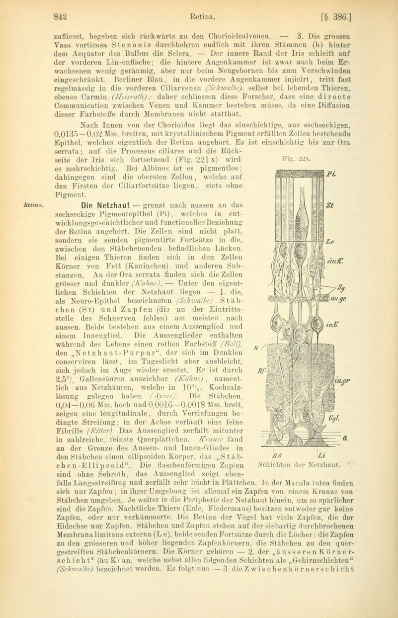 Fh zufliesst, begeben sich rückwärts zu den Chorioidealvenen. — 3. Die grossen Vasa vorticosa Stenonis durchbohren endlich mit ihren Stämmen (h) hinter dem Aequator des Bulbus die Sclera. — Der innere Rand der Iris schleift auf der vorderen Lin^enfiäche; die hintere Augenkammer ist zwar auch beim Er- wachsenen wenig geräumig, aber nur beim Neugebornen bis zum Verschwinden eingeschränkt. Berliner Blau, in die vordere Augenkammer injicirt, tritt fast regelmässig in die vorderen Ciliarvenen (Schivalbe), selbst bei lebenden Thieren, ebenso Carmin (Htisrath); daher schliessen diese Forscher, dass eine directe Communication zwischen Venen und Kammer bestehen müsse, da eine Diffusion dieser Farbstoffe durch Membranen nicht statthat. Nach Innen von der Chorioidea liegt das einschichtige, aus sechseckigen, 0,0135—0,02 Mm. breiten, mit krystallinischem Pigment erfüllten Zellen bestehende Epithel, welches eigentlich der Retina angehört. Es i.st einschichtig bis zur Ora serrata; auf die Processus ciliares und die Rück- seite der Iris sich fortsetzend (Fig. 221 x) wird es mehrschichtig. Bei Albinos ist es pigmentlos; dahingegen sind die obersten Zellen, Avelche auf den Firsten der Ciliarfortsätze liegen, stets ohne Pigment. Die Netzhaut — grenzt nach aussen an das sechseckige Pigmentepithel (Pi), welches in ent- wicklungsgeschichtlicher und functioneller Beziehung der Retina angehört. Die Zellen sind nicht platt, sondern sie senden pigmentirte Fortsätze in die, zwischen den Stäbchenenden befindlichen Lücken. Bei einigen Thieren finden sich in den Zellen Körner von Fett (Kaninchen) und anderen Sub- stanzen. An der Ora serrata finden sich die Zellen grösser und dunkler (Kühne). — Unter den eigent- lichen Schichten der Netzhaut liegen — 1. die, als Neuro-Epithel bezeichneten [Schwalbe) Stäb- chen (St) und Zapfen (die an der Eintritts- stelle des Sehnerven fehlen) am meisten nach aussen. Beide bestehen aus einem Aussenglied und einem Innenglied. Die Aussenglieder enthalten während des Lebens einen rothen Farbstoff (Ball), den „Netzhaut-Purpur, der sich im Dunkleu conserviren lässt, im Tageslicht aber ausbleicht, sich jedoch im Auge wieder ersetzt. Er ist durch 2,5^/,, Gallensäuren ausziehbar (Kühne), nament- lich aus Netzhäuten, welche in lO/«. Kochsalz- lösung gelegen haben (Ayres). Die Stäbchen, 0,04-0,06 Mm. hoch und 0,0016-0,0018 Mm. breit, zeigen eine longitudinale, durch Vertiefungen be- dingte Streifung; in der Achse verläuft eine feine Fibrille (Ritter) Das Aussenglied zerfällt mitunter in zahlreiche, i'einste Querplättchen. Krause fand an der Grenze des Aussen- und Innen-Gliedes in den Stäbchen einen ellipsoiden Körper, das „Stäb- chen-Ellip soid. Die flaschenförmigen Zaplen sind ohne Sehroth, das Aussenglied zeigt eben- falls Längsstreifung und zerfällt sehr leicht in Plättchen. In der Macula lutea finden sich nur Zapfen : in ihrer Umgebung ist allemal ein Zapfen von einem Kranze von Stäbchen umgeben. .Te weiter in die Peripherie der Netzhaut hinein, um so spärlicher sind die Zapfen. Nächtliche Thiere (Eule, Fledermaus) besitzen entweder gar keine Zapfen, oder nur verkümmerte. Die Retina der Vögel hat viele Zapfen, die der Eidechse nur Zapfen. Stäbchen und Zapfen .stehen auf der siebartig durchbrochenen Membrana limitans externa (L e), beide senden Fortsätze durch die Löcher: die Zapfen zu den grösseren und höher liegenden Zapfenkörnern, die Stäbchen zu den quer- gestreiften Stäbchenkörnern. Die Körner gehören — 2. der „äusseren K örne r- schicht (äu K) an, welche nebst allen folgenden Schichten als „Gehirnschichten (Schivalbe) bezeichnet werden. Es folgt nun — 3. dieZwischenkörnerschicht A-/ Bf n.fr ffA- Li Schichten der Netzhaut.