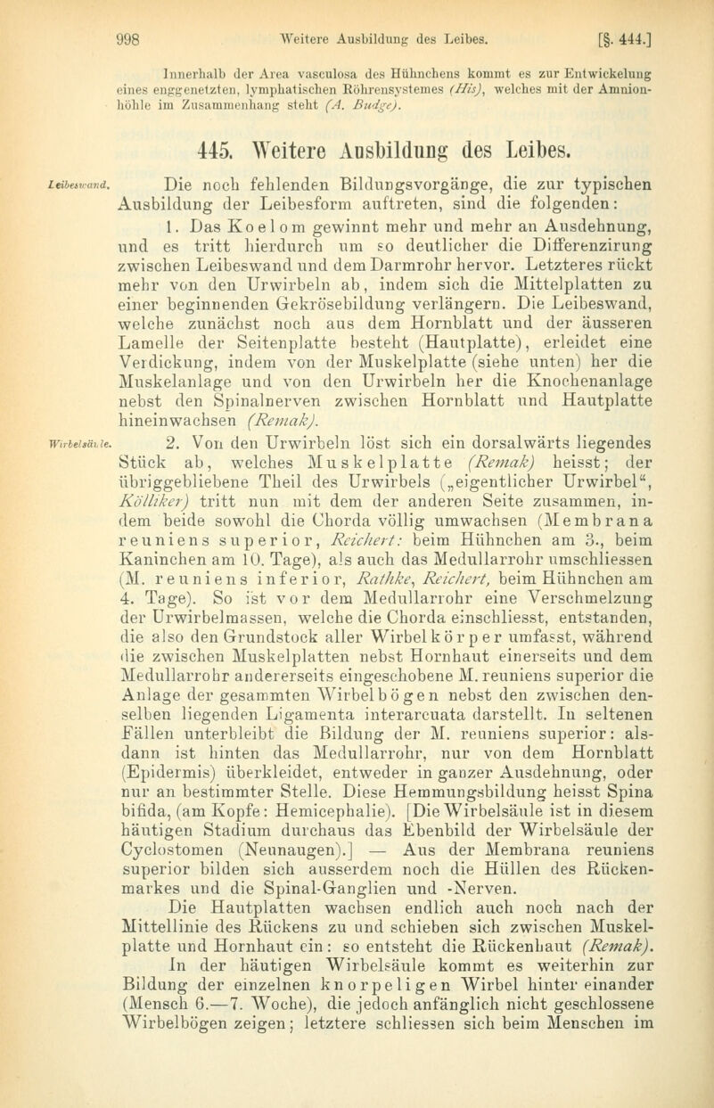 Innerhalb der Area vasculosa des Hühnchens kommt es zur Entwickelung eines enggenetzten, lymphatischen Röhrensystemes (His)^ welches mit der Amnion- höhle im Zusammenhang steht (A. Budge). 445. Weitere Ausbildung des Leibes. zeiieij/and. Die nocb fehlenden BildungsVorgänge, die zur typischen Ausbildung der Leibesform auftreten, sind die folgenden: 1. Das Ko e 1 0 m gewinnt mehr und mehr an Ausdehnung, und es tritt hierdurch um ?o deutlicher die Differenzirung zwischen Leibeswand und dem Darmrohr hervor. Letzteres rückt mehr von den Urwirbeln ab, indem sich die Mittelplatten zu einer beginnenden Gekrösebildung verlängern. Die Leibeswand, welche zunächst noch aus dem Hornblatt und der äusseren Lamelle der Seitenplatte besteht (Hautplatte), erleidet eine Verdickung, indem von der Muskelplatte (siehe unten) her die Muskelanlage und von den Urwirbeln her die Knochenanlage nebst den Spinalnerven zwischen Hornblatt und Hautplatte hineinwachsen (ReinakJ. wirbehät.ie. 2. Von den Urwirbeln löst sich ein dorsalwärts liegendes Stück ab, welches Muskelplatte (Remak) heisst; der übriggebliebene Theil des Urwirbels („eigentlicher Urwirbel, Kölliker) tritt nun mit dem der anderen Seite zusammen, in- dem beide sowohl die Chorda völlig umwachsen (Membrana reuniens superior, Reichert: beim Hühnchen am 3., beim Kaninchen am 10. Tage), als auch das MeduUarrohr umschliessen (M. reuniens inferior, Rathke^ ReicJiert, beim Hühnchen am 4. Tage). So ist vor dem MeduUarrohr eine Verschmelzung der Urwirbelmassen, welche die Chorda einschliesst, entstanden, die also den Grundstock aller Wirbel k ö r p e r umfasst, während die zwischen Muskelplatten nebst Hornhaut einerseits und dem MeduUarrohr andererseits eingeschobene M. reuniens superior die Anlage der gesammten Wirbel bögen nebst den zwischen den- selben liegenden Ligamenta interarcuata darstellt. In seltenen Fällen unterbleibt die Bildung der M. reuniens superior: als- dann ist hinten das MeduUarrohr, nur von dem Hornblatt (Epidermis) überkleidet, entweder in ganzer Ausdehnung, oder nur an bestimmter Stelle. Diese Hemmungsbildung heisst Spina bifida, (am Kopfe: Hemicephalie). [Die Wirbelsäule ist in diesem häutigen Stadium durchaus das Ebenbild der Wirbelsäule der Cyclostomen (Neunaugen).] — Aus der Membrana reuniens superior bilden sich ausserdem noch die Hüllen des Rücken- markes und die Spinal-Ganglien und -Nerven. Die Hautplatten wachsen endlich auch noch nach der Mittellinie des Rückens zu und schieben sich zwischen Muskel- platte und Hornhaut ein: so entsteht die Rückenhaut {Remak). In der häutigen Wirbelsäule kommt es weiterhin zur Bildung der einzelnen knorpeligen Wirbel hintereinander (Mensch 6.—7. AVoche), die jedoch anfänglich nicht geschlossene Wirbelbögen zeigen; letztere schliessen sich beim Menschen im