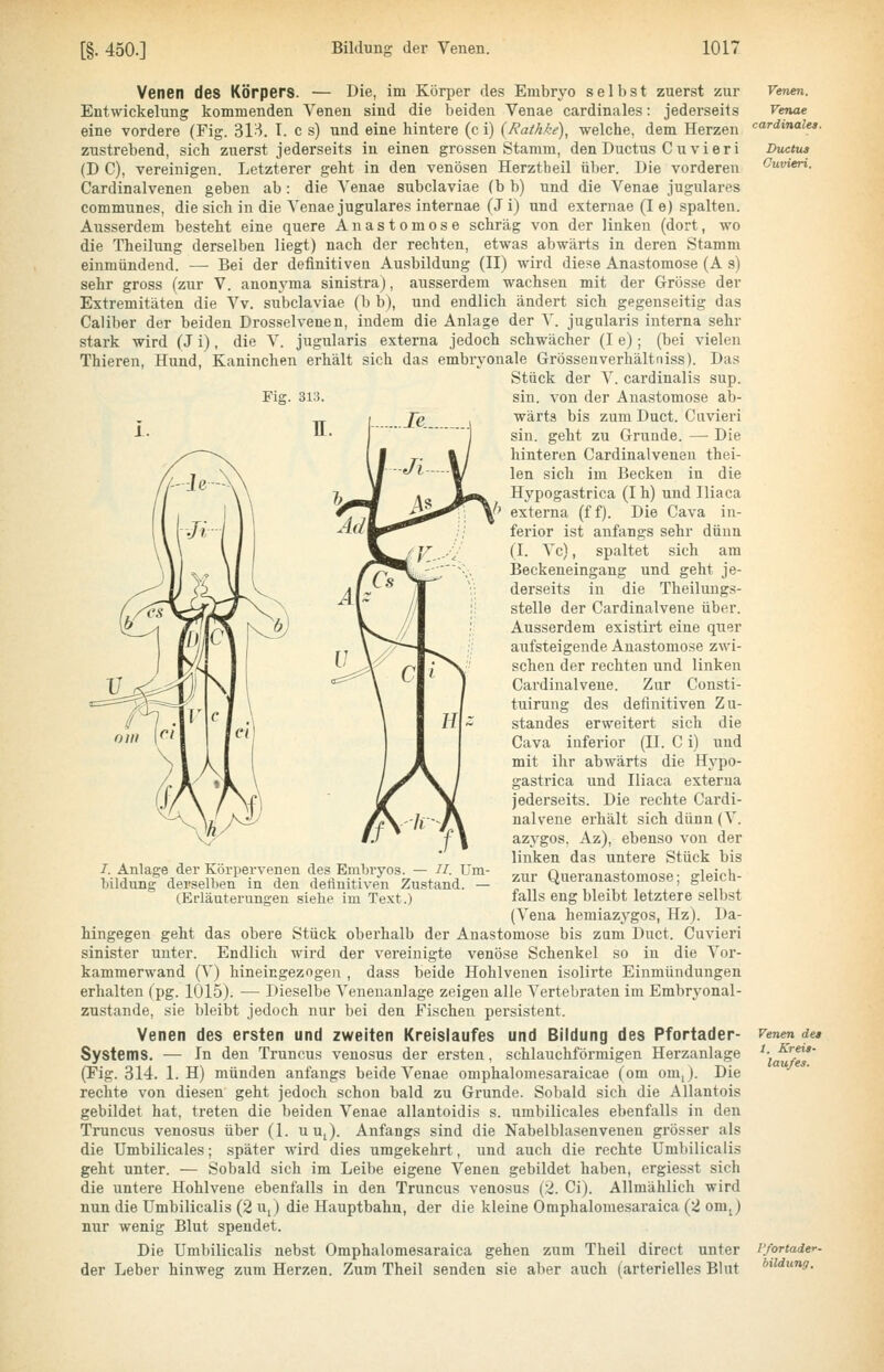 Venen des Körpers. — Die, im Körper des Embryo selbst zuerst zur Entwickelung kommenden Venen sind die beiden Venae cardinales: jederseits eine vordere (Fig. dl^. 1. c s) und eine hintere (c i) (Rathke), welche, dem Herzen zustrebend, sich zuerst jederseits in einen grossen Stamm, den Ductus C u vieri (D C), vereinigen. Letzterer geht in den venösen Herztbeil über. Die vorderen Cardinalvenen geben ab : die Venae subclaviae (b b) und die Venae jugulares communes, die sich in die Venae jugulares internae (J i) und externae (I e) spalten. Ausserdem besteht eine quere Anastomose schräg von der linken (dort, wo die Theilung derselben liegt) nach der rechten, etwas abwärts in deren Stamm einmündend. — Bei der definitiven Ausbildung (II) wird diese Anastomose (A s) sehr gross (zur V. anonyma sinistra), ausserdem wachsen mit der Grösse der Extremitäten die Vv. subclaviae (b b), und endlich ändert sich gegenseitig das Caliber der beiden Drosselvenen, indem die Anlage der V. jugularis interna sehr stark wird (J i) , die V. jugularis externa jedoch schwächer (I e); (bei vielen Thieren, Hund, Kaninchen erhält sich das embryonale Grösseuverhältniss). Das Stück der V. cardinalis sup. Fig. 313. sin. von der Anastomose ab- J^Q wärta bis zum Duct. Cuvieri sin. geht zu Grunde. —■ Die hinteren Cardinalvenen thei- len sich im Becken in die Hypogastrica (I h) und Iliaca externa (ff). Die Cava in- ferior ist anfangs sehr dünn (I. Vc), spaltet sich am Beckeneingang und geht je- derseits in die Theilungs- stelle der Cardinalvene über. Ausserdem existirt eine quer aufsteigende Anastomose zwi- schen der rechten und linken Cardinalvene. Zur Consti- tuirung des definitiven Zu- standes erweitert sich die Cava inferior (II. C i) und mit ihr abwärts die Hypo- gastrica und Iliaca externa jederseits. Die rechte Cardi- nalvene erhält sich dünn (V. azj^gos. Az), ebenso von der linken das untere Stück bis zur Queranastomose; gleich- falls eng bleibt letztere selbst (Vena hemiazygos, Hz). Da- hingegen geht das obere Stück oberhalb der Anastomose bis zum Duct. Cuvieri sinister unter. Endlich wird der vereinigte venöse Schenkel so in die Vor- kammerwand (V) hineingezogen , dass beide Hohlvenen isolirte Einmündungen erhalten (pg. 1015). — Dieselbe Venenanlage zeigen alle Vertebraten im Embryonal- zustande, sie bleibt jedoch nur bei den Fischen persistent. Venen des ersten und zweiten Kreislaufes und Bildung des Pfortader- Systems. — In den Truncus venosus der ersten, schlauchförmigen Herzanlage (Fig. 314. 1. H) münden anfangs beide Venae omphalomesaraicae (om omj. Die rechte von diesen geht jedoch schon bald zu Grunde. Sobald sich die AUantois gebildet hat, treten die beiden Venae allantoidis s. umbilicales ebenfalls in den Truncus venosus über (1. uu,). Anfangs sind die Nabelblasenvenen grösser als die Umbilicales; später wird dies umgekehrt, und auch die rechte Umbilicalis geht unter. — Sobald sich im Leibe eigene Venen gebildet haben, ergiesst sich die untere Hohlvene ebenfalls in den Truncus venosus (2. Ci). Allmählich wird nun die Umbilicalis (2 uj die Hauptbahn, der die kleine Omphalomesaraica (2 omj nur wenig Blut spendet. Die Umbilicalis nebst Omphalomesaraica gehen zum Theil direct unter der Leber hinweg zum Herzen. Zum Theil senden sie aber auch (arterielles Blut /. Anlage der Körpervenen des Embryos. — II. Um- bildung derselben in den deflnitiven Zustand. — (Erläuterungen siehe im Text.) Venen. Venae cardinales. Ductus Cuvieri. Venen des 1. Kreis- laufes. Pfortader- bildung.