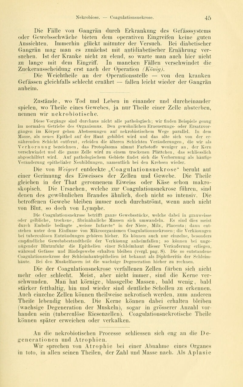 Die Fälle von Gangrän durch Erkrankung- des Gefässsystems oder Gewebsschwäclie bieten dem operativen Eing-reifen keine guten Aussichten. Immerhin glückt mitunter der Versuch. Bei diabetischer Gangrän mag man es zunächst mit antidiabetischer Ernährung ver- suchen. Ist der Kranke nicht zu elend, so warte man auch hier nicht zu lange mit dem Eingrilf. In manchen Fällen verschw^indet die Zuckerausscheidung erst nach der Operation (König). Die Weichtheile an der Operationsstelle — von den kranken Gefässen gleichfalls schlecht ernährt — fallen leicht wieder der Gangrän anheim. Zustände, wo Tod und Leben in einander und durcheinander spielen, wo Theile eines Gewebes, ja nur Theile einer Zelle absterben, nennen wir nekrobiotische. Diese Vorgänge sind durchaus nicht alle pathologisch; wir finden Beispiele genug im normalen Getriebe des Organismus. Den gewöhnlichen Erueuerungs- oder Ersatzvor- gängen im Körper gehen Abstossungen auf nekrobiotischem Wege parallel. In dem Masse, als neues Epithel auf der Haut gebildet wird und das alte sich von der er- nährenden Schicht entfernt, erleiden die älteren Schichten Veränderungen, die wir als Verhornung bezeichnen, das Protoplasma nimmt Farbstoffe weniger an, der Kern verschwindet und die ganze Zelle wird zu einem trockenen Plättchen, das schliesslich abgeschilfert wird. Auf pathologischem Gebiete findet sich die Verhornung als häufige A''eränderung epithelialer Neubildungen, namentlich bei den Krebsen wieder. Die von Weigert entdeckte „Coagulationsnekrose beruht aut einer Gerinnung des Eiweisses der Zellen und Gewebe. Die Tlieile gleichen in der That geronnenem Eiweiss oder Käse schon makro- skopisch. Die Ursachen, welche zur Coagulationsnekrose führen, sind denen des gewöhnlichen Brandes ähnlich, doch nicht so intensiv. Die betroifenen Gewebe bleiben immer noch durchströmt, wenn auch nicht von Blut, so doch von Lymphe. Die Coagulationsnekrose betrift't ganze Gewebsstücke, welche dabei in grauweisse oder gelbliche, trockene, fibrinähnliche Massen sich umwandeln. Es sind dies meist durch Embolie bedingte .,weisse Infarcte in der Niere, Milz, Placenta; dann ent- stehen unter dem Einflüsse von Mikroorganismen Coagulationsnekrosen; die Verkäsungen bei tuberculösen Entzündungen gehören hieher. Es können auch nur einzelne, besonders empfindliche Gewebsbestandtheile der Verkäsung anheimfallen; so können bei unge- nügender Blutzufuhr die Epithelien einer Schleimhaut dieser Veränderung erliegen, während Gefässe und Bindegewebe erhalten bleiben (vergl. pag. 8). Die so entstandene Coagulationsnekrose der Schleimhautepithelien ist bekannt als Diphtheritis der Schleim- häute. Bei den Muskelfasern ist die wachsige Degeneration hieher zu rechnen. Die der Coagulationsnekrose verfallenen Zellen färben sich nicht mehr oder schlecht. Meist, aber nicht immer, sind die Kerne ver- schwunden. Man hat körnige, blassgelbe Massen, bald wenig, bald .stärker fetthaltig, hin und wieder sind deutliche Schollen zu erkennen. Auch einzelne Zellen können theilweise nekrotisch werden, zum anderen Theile lebendig bleiben. Die Kerne können dabei erhalten bleiben (wachsige Degeneration der Muskeln), sogar in grösserer Anzahl vor- handen sein (tuberculöse Riesenzellen). Coagulatiousnckrotische Theile können später erweichen oder verkalken. An die nekrobiotischen Processe schliessen sich eng an die De- generationen und Atrophien. Wir sprechen von Atrophie bei einer Abnahme eines Organes in toto. in allen seinen Theilen, der Zahl und Masse nach. Als Aplasie