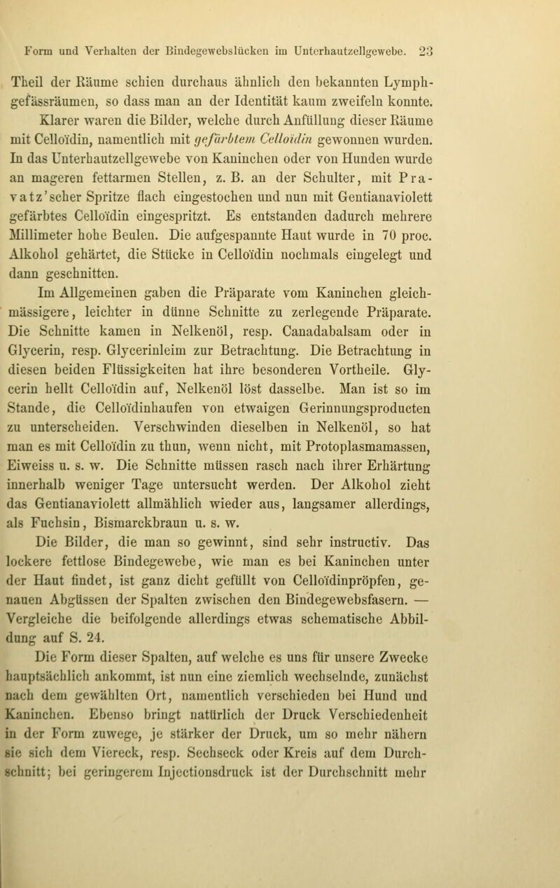 Theil der Räume schien durchaus ähnlich den bekannten Lymph- gefässräumen, so dass man an der Identität kaum zweifeln konnte. Klarer waren die Bilder, welche durch AnfUllung dieser Räume mit Celloidin, namentlich mit gefärbtem Celloidin gewonnen wurden. In das Unterhautzellgewebe von Kaninchen oder von Hunden wurde an mageren fettarmen Stellen, z.B. an der Schulter, mit Pra- vatz'scher Spritze flach eingestochen und nun mit Gentianaviolett gefärbtes Celloidin eingespritzt. Es entstanden dadurch mehrere Millimeter hohe Beulen. Die aufgespannte Haut wurde in 70 proc. Alkohol gehärtet, die Stücke in Celloidin nochmals eingelegt und dann geschnitten. Im Allgemeinen gaben die Präparate vom Kaninchen gleich- massigere, leichter in dünne Schnitte zu zerlegende Präparate. Die Schnitte kamen in Nelkenöl, resp. Canadabalsam oder in Glycerin, resp. Glycerinleim zur Betrachtung. Die Betrachtung in diesen beiden Flüssigkeiten hat ihre besonderen Vortheile. Gly- cerin hellt Celloidin auf, Nelkenöl löst dasselbe. Man ist so im Stande, die Celloidinhaufen von etwaigen Gerinnungsproducten zu unterscheiden. Verschwinden dieselben in Nelkenöl, so hat man es mit Celloidin zu thun, wenn nicht, mit Protoplasmamassen, Eiweiss u. s. w. Die Schnitte müssen rasch nach ihrer Erhärtung innerhalb weniger Tage untersucht werden. Der Alkohol zieht das Gentianaviolett allmählich wieder aus, langsamer allerdings, als Fuchsin, Bismarckbraun u. s. w. Die Bilder, die man so gewinnt, sind sehr instructiv. Das lockere fettlose Bindegewebe, wie man es bei Kaninchen unter der Haut findet, ist ganz dicht gefüllt von Celloidinpröpfen, ge- nauen Abgüssen der Spalten zwischen den Bindegewebsfasern. — Vergleiche die beifolgende allerdings etwas schematische Abbil- dung auf S. 24. Die Form dieser Spalten, auf welche es uns für unsere Zwecke hauptsächlich ankommt, ist nun eine ziemlich wechselnde, zunächst nach dem gewählten Ort, namentlich verschieden bei Hund und Kaninchen. Ebenso bringt natürlich der Druck Verschiedenheit in der Form zuwege, je stärker der Druck, um so mehr nähern sie sich dem Viereck, resp. Sechseck oder Kreis auf dem Durch- schnitt; bei geringerem Injectionsdruck ist der Durchschnitt mehr