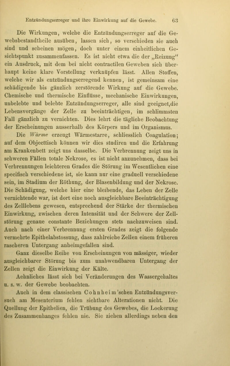 Die Wirkungen, welche die Entzündungserreger auf die Ge- websbestandtheile ausüben, lassen sich, so verschieden sie auch sind und scheinen mögen, doch unter einem einheitlichen Ge- sichtspunkt zusammenfassen. Es ist nicht etwa die der „Keizung ein Ausdruck, mit dem bei nicht contractilen Geweben sich über- haupt keine klare Vorstellung verknüpfen lässt. Allen Stoffen, welche wir als entzündungserregend kennen, ist gemeinsam eine schädigende bis gänzlich zerstörende Wirkung auf die Gewebe. Chemische und thermische Einflüsse, mechanische Einwirkungen, unbelebte und belebte Entzündungserreger, alle sind geeignet,die Lebensvorgänge der Zelle zu beeinträchtigen, im schlimmsten Fall gänzlich zu vernichten. Dies lehrt die tägliche Beobachtung der Erscheinungen ausserhalb des Körpers und im Organismus. Die Wärme erzeugt Wärmestarre, schliesslich Coagulation; auf dem Objecttisch können wir dies studiren und die Erfahrung am Krankenbett zeigt uns dasselbe. Die Verbrennung zeigt uns in schweren Fällen totale Nekrose, es ist nicht anzunehmen, dass bei Verbrennungen leichteren Grades die Störung im Wesentlichen eine specifisch verschiedene ist, sie kann nur eine graduell verschiedene sein, im Stadium der Köthung, der Blasenbildung und der Nekrose. Die Schädigung, welche hier eine bleibende, das Leben der Zelle vernichtende war, ist dort eine noch ausgleichbare Beeinträchtigung des Zelllebens gewesen, entsprechend der Stärke der thermischen Einwirkung, zwischen deren Intensität und der Schwere der Zell- störung genaue constante Beziehungen stets nachzuweisen sind. Auch nach einer Verbrennung ersten Grades zeigt die folgende vermehrte Epithelabstossung, dass zahlreiche Zeilen einem früheren rascheren Untergang anheimgefallen sind. Ganz dieselbe Reihe von Erscheinungen von massiger, wieder ausgleichbarer Störung bis zum unabwendbaren Untergang der Zellen zeigt die Einwirkung der Kälte. Aehnliches lässt sich bei Veränderungen des Wassergehaltes u. s. w. der Gewebe beobachten. Auch in dem classischen C o h n h e i m'sehen Entzündungsver- such am Mesenterium fehlen sichtbare Alterationen nicht. Die Quellung der Epithelien, die Trübung des Gewebes, die Lockerung des Zusammenhanges fehlen nie. Sie ziehen allerdings neben den