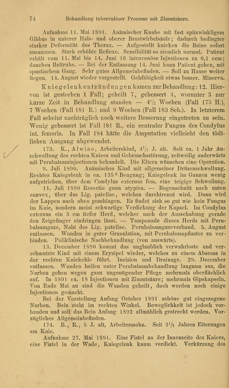 Aufnahme 11. Mai 1891. Anämischer Knabe mit fast spitzwinkligem Gibbus in unterer Hals- und oberer Brustwirbelsäule; dadurch bedingter starker Deformität des Thorax. — Aufgestellt knicken die Beine sofort zusammen. Stark erhöhte Reflexe. Sensibilität so ziemlich normal. Patient erhält vom 11. Mai bis 14. Juni 16 intravenöse Injectionen zu 0,1 ccm; daneben Bettruhe. — Bei der Entlassung 14. Juni kann Patient gehen, mit spastischem Gang. Sehr gutes Allgemeinbefinden. — Soll zu Hause weiter liegen. 14. August wieder vorgestellt. Gehfähigkeit etwas besser. Minerva. Kniegelenkentzündungenkainen zur Behandlung: 12. Hier- von ist gestorben 1 Fall; geheilt 7, gebessert 4, worunter 3 nur kurze Zeit in Behandlung standen — 4'/2 Wochen (Fall 175 H.), 7 Wochen (Fall 181 E.) und 9 Wochen (Fall 183 Seh.). In letzterem Fall scheint nachträglich noch weitere Besserung eingetreten zu sein. Wenig gebessert ist Fall 181 E., ein centraler Fungus des Condylus int. femoris. In Fall 184 hätte die Amputation vielleicht den tödt- lichen Ausgang abgewendet. 173. K., Alwine, Arbeiterskind, 41/' J. alt. Seit ca. 1 Jahr An- schwellung des rechten Kniees und Gebrauchsstörung, zeitweilig anderwärts mit Perubalsaminjectionen behandelt. Die Eltern wünschen eine Operation. 9. Juli 1890. Anämisches Kind mit allgemeiner Drüsenschwellung. Rechtes Kniegelenk in ca. 135° Beugung; Kniegelenk im Ganzen wenig aufgetrieben, über dem Condylus externus fem. eine teigige Schwellung. 11. Juli 1890 Resectio genu atypica. — Bogeuschnitt nach unten convex, über das Lig. patellae, welches durchtrennt wird. Dann wird der Lappen nach oben geschlagen. Es findet sich so gut wie kein Fungus im Knie, sondern meist schwartige Verdickung der Kapsel. Im Condylus externus ein 3 cm tiefer Herd, welcher nach der Ausschabung gerade den Zeigefinger eindringen lässt. — Tampouade dieses Herds mit Peru- balsamgaze, Naht des Lig. patellae. Perubalsamgazeverband. 5. August entlassen. Wunden in guter Granulation, mit Perubalsampflaster zu ver- binden. Poliklinische Nachbehandlung (von auswärts). 13. December 1890 kommt das unglaublich verwahrloste und ver- schmutzte Kind mit einem Erysipel wieder, welches zu einem Abscess in der rechten Kniekehle führt. Incision und Drainage. 29. December entlassen. Wunden heilen unter Perubalsambehandlung langsam aus, die Narben gehen wegen ganz ungenügender Pflege mehrmals oberflächlich auf. In 1891 ca. 18 Inj ectionen mit Zimmtsäure; mehrmals Gipskapseln. Von Ende Mai an sind die Wunden geheilt, doch werden noch einige Inj ectionen gemacht. Bei der Vorstellung Anfang October 1891 schöne gut eingezogene Narben. Bein steht im rechten Winkel. Beweglichkeit ist jedoch vor- handen und soll das Bein Anfang 1892 allmählich gestreckt werden. Vor- zügliches Allgemeinbefinden. 174. B., R., 5 J. alt, Arbeiterssohn. Seit 3l/2 Jahren Eiterungen am Knie. Aufnahme 27. Mai 1891. Eine Fistel an der Innenseite des Kniees, eine Fistel in der Wade, Kniegelenk kaum verdickt. Verkürzung des