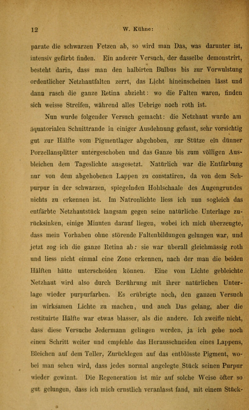 parate die schwarzen Fetzen ab, so wird man Das, was darunter ist, intensiv gefärbt finden. Ein anderer Versuch, der dasselbe demonstrirt, besteht darin; dass man den halbirten Bulbus bis zur Vorwulstung ordentlicher Netzhautfalten zerrt, das Licht hineinscheinen lässt und dann rasch die ganze Retina abzieht: wo die Falten waren, finden sich weisse Streifen, während alles Uebrige noch roth ist. Nun wurde folgender Versuch gemacht: die Netzhaut wurde am äquatorialen Schnittrande in einiger Ausdehnung gefasst, sehr vorsichtig gut zur Hälfte vom Pigmentlager abgehoben, zur Stütze ein dünner Porzellausplitter untergeschoben und das Ganze bis zum völligen Aus- bleichen dem Tageslichte ausgesetzt. Natürlich war die Entfärbung nur von dem abgehobenen Lappen zu constatiren, da von dem Seh- purpur in der schwarzen, spiegelnden Hohlschaale des Augengrundes nichts zu erkennen ist. Im Natronlichte Hess ich nun sogleich das entfärbte Netzhautstück langsam gegen seine natürliche Unterlage zu- rücksinken, einige Minuten darauf liegen, wobei ich mich überzeugte, dass mein Vorhaben ohne störende Faltenbilduugen gelungen war, und jetzt zog ich die ganze Retina ab: sie war überall gleichmässig roth und Hess nicht einmal eine Zone erkennen, nach der man die beiden Hälften hätte unterscheiden können. Eine vom Lichte gebleichte Netzhaut wird also durch Berührung mit ihrer natürlichen Unter- lage wieder purpurfarben. Es erübrigte noch, den ganzen Versuch im wirksamen Lichte zu machen, und auch Das gelang, aber die restituirte Hälfte war etwas blasser, als die andere. Ich zweifle nicht, dass diese Versuche Jedermann gelingen werden, ja ich gehe noch einen Schritt weiter und empfehle das Herausschneiden eines Lappens, Bleichen auf dem Teller, Zurücklegen auf das entblösste Pigment, wo- bei man sehen wii-d, dass jedes normal angelegte Stück seinen Purpur wieder gewinnt. Die Regeneration ist mir auf solche Weise öfter so gut gelungen, dass ich mich ernstlich veranlasst fand, mit einem Stück-