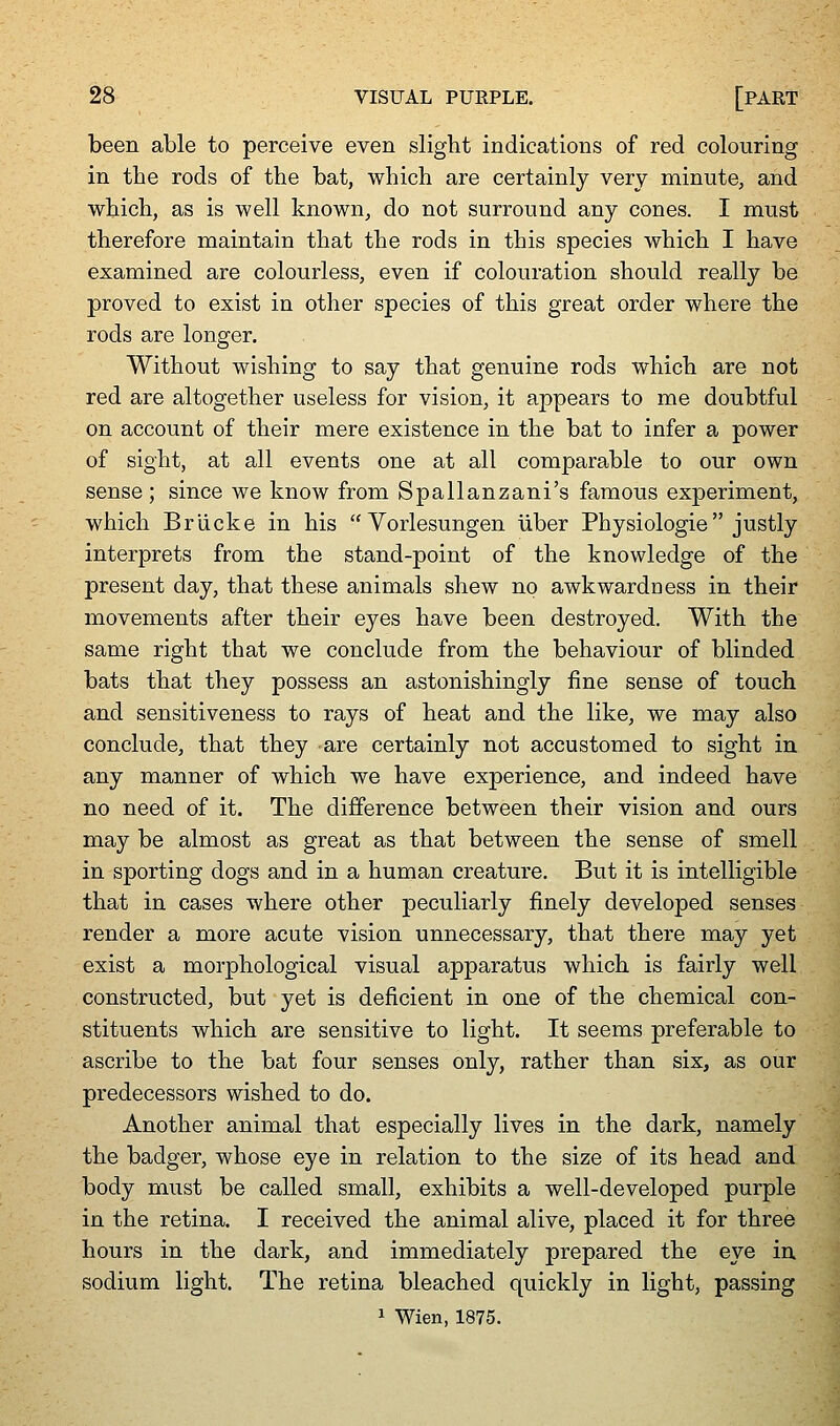 been able to perceive even slight indications of red colouring in the rods of the bat, which are certainly very minute, and which, as is well known, do not surround any cones. I must therefore maintain that the rods in this species which I have examined are colourless, even if colouration should really be proved to exist in other species of this great order where the rods are longer. Without wishing to say that genuine rods which are not red are altogether useless for vision, it appears to me doubtful on account of their mere existence in the bat to infer a power of sight, at all events one at all comparable to our own sense; since we know from Spallanzani's famous experiment, which Briicke in his Vorlesungen iiber Physiologie justly interprets from the stand-point of the knowledge of the present day, that these animals shew no awkwardness in their movements after their eyes have been destroyed. With the same right that we conclude from the behaviour of blinded bats that they possess an astonishingly fine sense of touch and sensitiveness to rays of heat and the like, we may also conclude, that they are certainly not accustomed to sight in any manner of which we have experience, and indeed have no need of it. The difference between their vision and ours may be almost as great as that between the sense of smell in sporting dogs and in a human creature. But it is intelligible that in cases where other peculiarly finely developed senses render a more acute vision unnecessary, that there may yet exist a morphological visual apparatus which is fairly well constructed, but yet is deficient in one of the chemical con- stituents which are sensitive to light. It seems preferable to ascribe to the bat four senses only, rather than six, as our predecessors wished to do. Another animal that especially lives in the dark, namely the badger, whose eye in relation to the size of its head and body must be called small, exhibits a well-developed purple in the retina. I received the animal alive, placed it for three hours in the dark, and immediately prepared the eye in sodium light. The retina bleached quickly in light, passing 1 Wien, 1875.