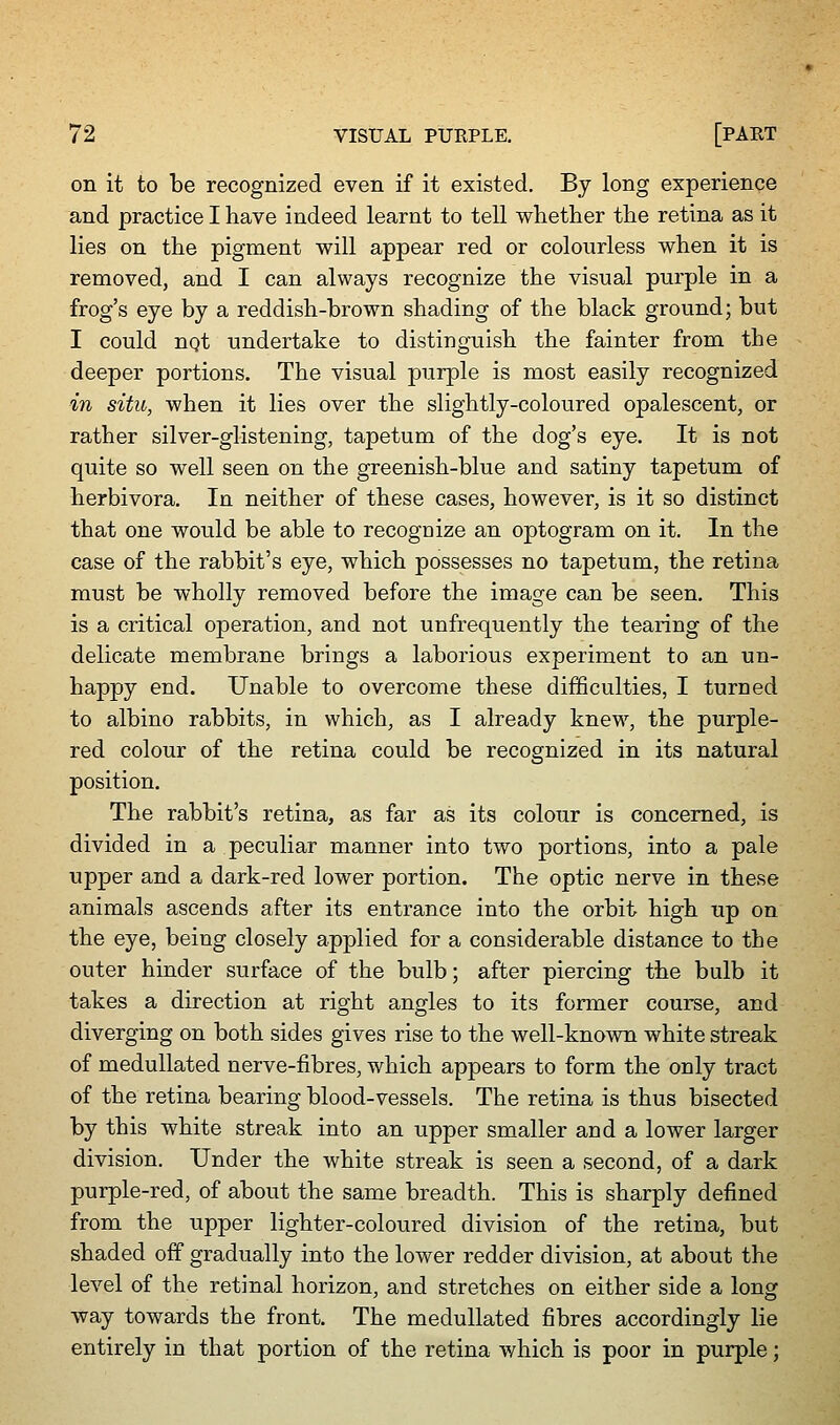 on it to be recognized even if it existed. By long experience and practice I have indeed learnt to tell whether the retina as it lies on the pigment will appear red or colourless when it is removed, and I can always recognize the visual purple in a frog's eye by a reddish-brown shading of the black ground; but I could nQt undertake to distinguish the fainter from the deeper portions. The visual purple is most easily recognized in situ, when it lies over the slightly-coloured opalescent, or rather silver-glistening, tapetum of the dog's eye. It is not quite so well seen on the greenish-blue and satiny tapetum of herbivora. In neither of these cases, however, is it so distinct that one would be able to recognize an optogram on it. In the case of the rabbit's eye, which possesses no tapetum, the retina must be wholly removed before the image can be seen. This is a critical operation, and not unfrequently the tearing of the delicate membrane brings a laborious experiment to an un- happy end. Unable to overcome these difficulties, I turned to albino rabbits, in which, as I already knew, the purple- red colour of the retina could be recognized in its natural position. The rabbit's retina, as far as its colour is concerned, is divided in a peculiar manner into two portions, into a pale upper and a dark-red lower portion. The optic nerve in these animals ascends after its entrance into the orbit high up on the eye, being closely applied for a considerable distance to the outer hinder surface of the bulb; after piercing the bulb it takes a direction at right angles to its former course, and diverging on both sides gives rise to the well-known white streak of medullated nerve-fibres, which appears to form the only tract of the retina bearing blood-vessels. The retina is thus bisected by this white streak into an upper smaller and a lower larger division. Under the white streak is seen a second, of a dark purple-red, of about the same breadth. This is sharply defined from the upper lighter-coloured division of the retina, but shaded off gradually into the lower redder division, at about the level of the retinal horizon, and stretches on either side a long way towards the front. The medullated fibres accordingly lie entirely in that portion of the retina which is poor in purple;