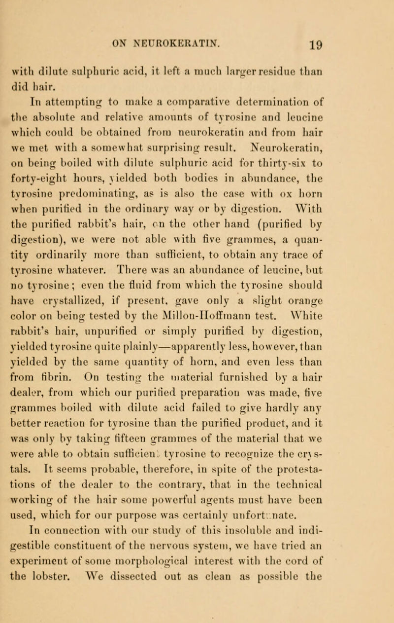 with dilute sulphuric acid, it left :i much larger residue than did hair. In attempting to make a comparative determination of the absolute and relative amounts of tyrosine and leucine which could he obtained from neurokeratin and from hair we met with a somewhat surprising result. Neurokeratin, on being boiled with dilute sulphuric acid for thirty-six to forty-eight hours, \ ielded both bodies in abundance, the tyrosine predominating, as is also the case with ox horn when purified in the ordinary way or by digestion. With the purified rabbit's hair, on the other hand (purified by digestion), we were not able with five grammes, a quan- tity ordinarily more than sufficient, to obtain any trace of tyrosine whatever. There was an abundance of leucine, hut no tyrosine; even the fluid from which the tyrosine should have crystallized, if present, gave only a slight orange color on being tested by the Millon-IIoffmann test. White rabbit's hair, unpurified or simply purified by digestion, yielded tyrosine quite plainly—apparently less, however, than yielded by the same quantity of horn, and even less than from fibrin. On testing the material furnished by a hair dealer, from which our purified preparation was made, five grammes boiled with dilute acid failed to give hardly any better reaction for tyrosine than the purified product, and it was only by taking fifteen grammes of the material that we were able to obtain suffieiem tyrosine to recognize the crys- tals. It seems probable, therefore, in spite of the protesta- tions of the dealer to the contrary, that in the technical working of the hair some powerful agents must have been used, which for our purpose was certainly unfort: nate. In connection with our study of this insoluble and indi- gestible constituent of the nervous system, we have tried an experiment of some morphological interest with the cord of the lobster. We dissected out as clean as possible tin-