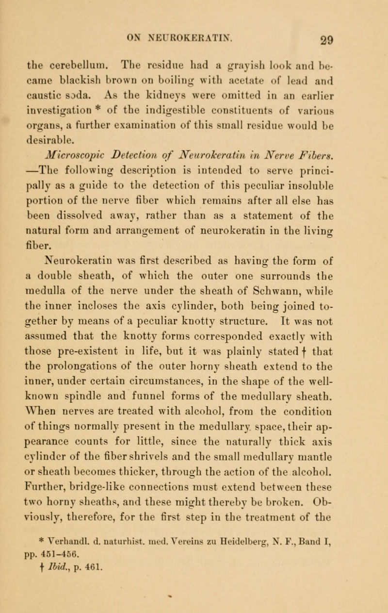 the cerebellum. The residue had a grayish look and be- came blackish brown on boiling with acetate of lead and caustic soda. As the kidneys were omitted in an earlier investigation * of the indigestible constituents of various organs, a further examination of this small residue would be desirable. Microscopic Detection of Neurokeratin in Nerve Fibers. —The following description is intended to serve princi- pally as a guide to the detection of this peculiar insoluble portion of the nerve fiber which remains after all else has been dissolved away, rather than as a statement of the natural form and arrangement of neurokeratin in the living fiber. Neurokeratin was first described as having the form of a double sheath, of which the outer one surrounds the medulla of the nerve under the sheath of Schwann, while the inner incloses the axis cylinder, both being joined to- gether by means of a peculiar knotty structure. It was not assumed that the knotty forms corresponded exactly with those pre-existent in life, but it was plainly stated f that the prolongations of the outer horny sheath extend to the iuner, under certain circumstances, in the shape of the well- known spindle aud funnel forms of the medullary sheath. When nerves are treated with alcohol, from the condition of things normally present in the medullary space, their ap- pearance counts for little, since the naturally thick axis cylinder of the fiber shrivels and the small medullary mantle or sheath becomes thicker, through the action of the alcohol. Further, bridge-like connections must extend between these two horny sheaths, and these might thereby be broken. Ob- viously, therefore, for the first step in the treatment of the * VerhandL d. oaturhist. med. Vereins zu Heidelberg, X. F., Band I, pp. 451-456. f Jbid., p. 461.