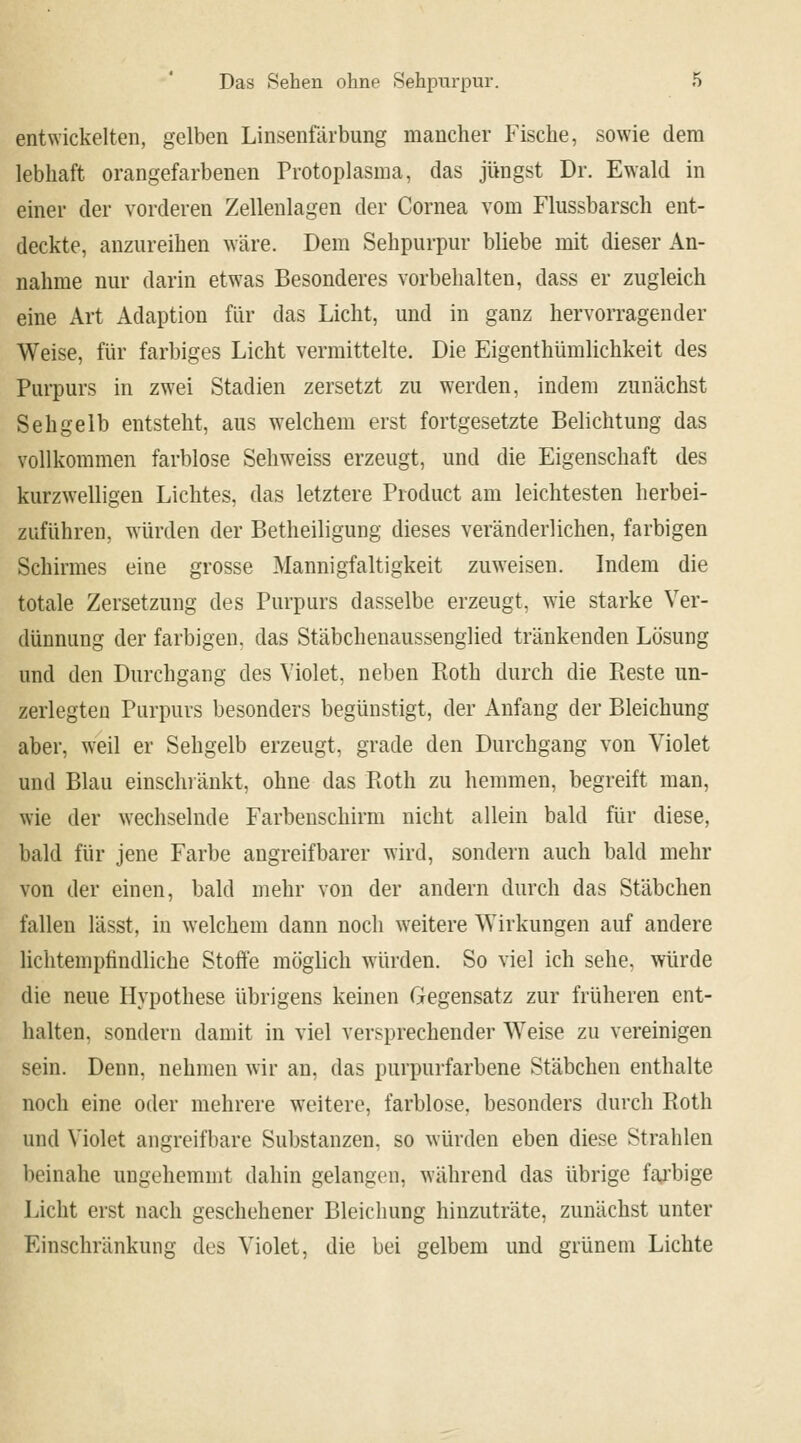 entwickelten, gelben Linsenfärbung mancher Fische, sowie dem lebhaft orangefarbenen Protoplasma, das jüngst Dr. Ewald in einer der vorderen Zellenlagen der Cornea vom Flussbarsch ent- deckte, anzureihen wäre. Dem Sehpurpur bliebe mit dieser An- nahme nur darin etwas Besonderes vorbehalten, dass er zugleich eine Art Adaption für das Licht, und in ganz hervorragender Weise, für farbiges Licht vermittelte. Die Eigenthümlichkeit des Purpurs in zwei Stadien zersetzt zu werden, indem zunächst Sehgelb entsteht, aus welchem erst fortgesetzte Belichtung das vollkommen farblose Sehweiss erzeugt, und die Eigenschaft des kurzwelligen Lichtes, das letztere Product am leichtesten herbei- zuführen, würden der Betheiligung dieses veränderlichen, farbigen Schirmes eine grosse Mannigfaltigkeit zuweisen. Indem die totale Zersetzung des Purpurs dasselbe erzeugt, wie starke Ver- dünnung der farbigen, das Stäbchenaussenglied tränkenden Lösung und den Durchgang des Violet, neben Roth durch die Reste un- zerlegten Purpurs besonders begünstigt, der Anfang der Bleichung aber, weil er Sehgelb erzeugt, grade den Durchgang von Violet und Blau einschränkt, ohne das Roth zu hemmen, begreift man, wie der wechselnde Farbenschirm nicht allein bald für diese, bald für jene Farbe angreifbarer wird, sondern auch bald mehr von der einen, bald mehr von der andern durch das Stäbchen fallen lässt, in welchem dann noch weitere Wirkungen auf andere lichtempfindliche Stoffe möglich würden. So viel ich sehe, würde die neue Hypothese übrigens keinen Gegensatz zur früheren ent- halten, sondern damit in viel versprechender Weise zu vereinigen sein. Denn, nehmen wir an. das purpurfarbene Stäbchen enthalte noch eine oder mehrere weitere, farblose, besonders durch Roth und Violet angreifbare Substanzen, so würden eben diese Strahlen beinahe ungehemmt dahin gelangen, während das übrige farbige Licht erst nach geschehener Bleichung hinzuträte, zunächst unter Einschränkung des Violet, die bei gelbem und grünem Lichte