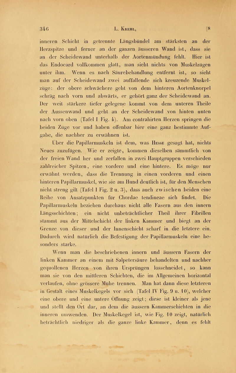 inneien Schicht in getrennte Liingsbündel am stärksten an der Herzspitze und ferner an der ganzen äusseren Wand ist, dass sie an der Scheidewand unterhalb der Aortenmündung fehlt. Hier ist das Endocard vollkommen glatt, man sieht nichts von Muskelzügen unter ihm. Wenn es nach Säurebehandlung entfernt ist, so sieht man auf der Scheidewand zwei auffallende sich kreuzende Muskel- züge: der obere schwächere geht von dem hinteren Aortenknorpel schräg nach vorn und abwärts, er gehört ganz der Scheidewand an. Der weit stärkere tiefer gelegene kommt von dem unteren Theile der Aussenwand und geht an der Scheidewand von hinten unten nach vorn oben (Tafel I Fig. 4). Am contraliirten Herzen springen die beiden Züge vor und haben offenbar hier eine ganz bestimmte Auf- gabe, die nachher zu erwähnen ist. Über die Papillarmuskeln ist dem, was Hesse gesagt hat, nichts Neues zuzufügen. Wie er zeigte, kommen dieselben sämmilich von der freien Wand her und zerfallen in zwei Haupigruppen verschieden zahlreicher Spitzen, eine vordere und eine hintere. Es möge nur erwähnt werden, dass die Trennung in einen vorderen und einen hinteren Papillarmuskel, wie sie am Hund deutlich ist, für den Menschen nicht streng gilt (Tafel I Fig. 2 u. 3), dass auch zwischen beiden eine Reihe von Ansatzpunkten für Chordae lendineae sich findet. Die Papillarmuskeln beziehen durchaus nicht alle Fasern aus den Innern Längsschichten; ein nicht unbeträchtlicher Theil ihrer Fibrillen stammt aus der Mittelschicht der linken Kammer und biegt an der Grenze von dieser und der Innenschicht scharf in die letztere ein. Dadurch wird natürlich die Befestigung der Papillarmuskeln eine be- sonders starke. Wenn man die beschriebenen innern und äussern Fasern der linken Kammer an einem mit Salpetersäure behandelten und nachher gequollenen Herzen von ihren Ursprüngen losschneidet, so kann man sie von den mittleren Schichten, die im Allgemeinen horizontal verlaufen, ohne grössere Mühe trennen. Man hat dann diese letzteren in Gestalt eines Muskelkegels vor sich (Tafel IV Fig. 9 u. 1 0), welcher eine obere und eine untere Öffnung zeigt; diese ist kleiner als jene und stellt den Ort dar, an dem die äussern Kammerschichten in die inneren umwenden. Der Muskelkegel ist, wie Fig. 10 zeigt, natürlich beträchtlich niedriger als die ganze linke Kammer, denn es fehlt