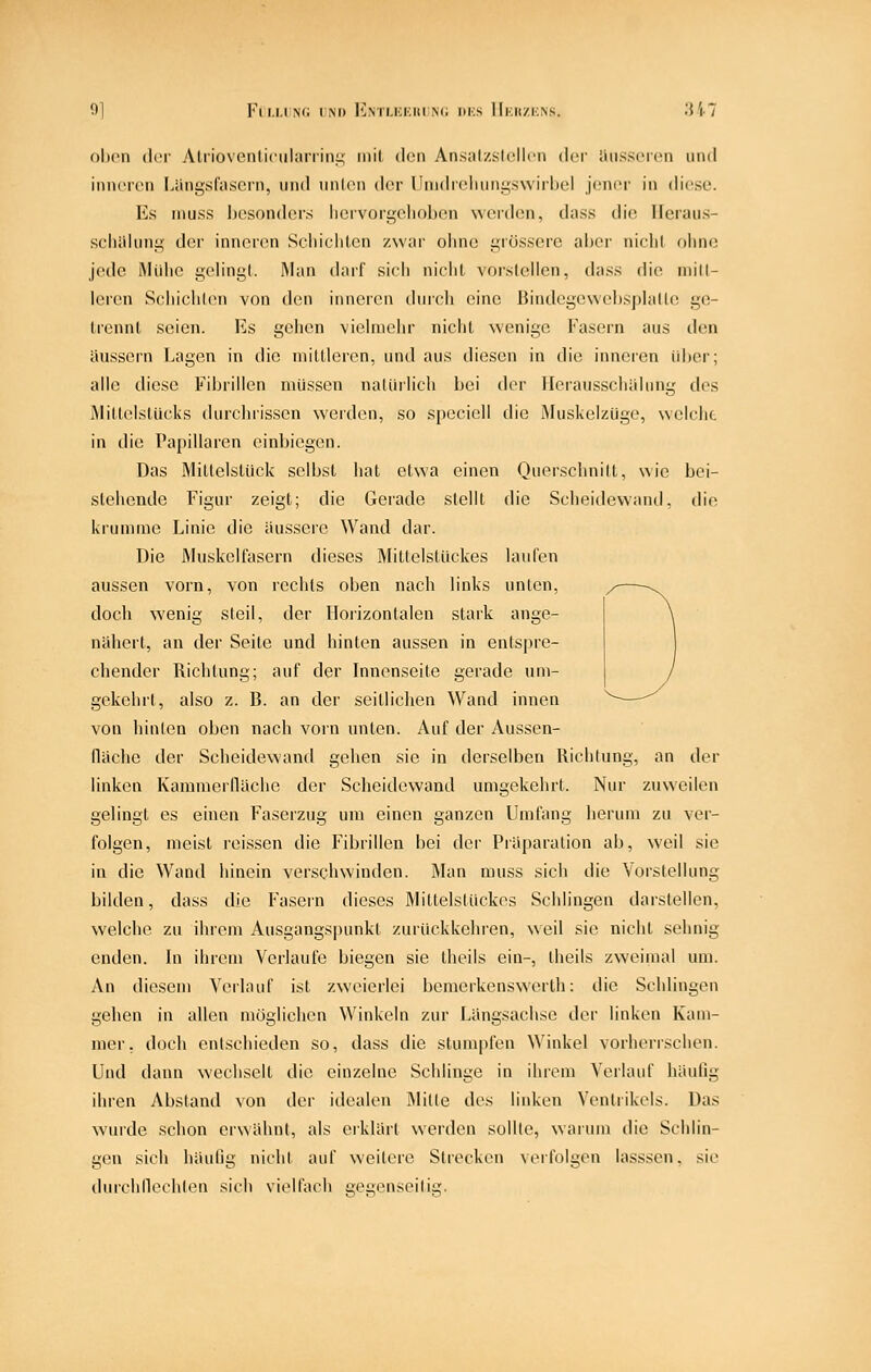 9] Fii.MNG INI) 1*]m'i.i;i:i(I N(; in;s 1Ikii7.i:ns. 3t7 olicn der vVlrioviMiliciilariiii!^ iiiil don Ansalzstcllcii der iiiisscicn und iiincivn iJingsrascin, und imtiMi der Ihiidicluiiiy.swirhel jf.'ncr in diese. Es inuss hesonders hervori^oliohen werden, dass die lleraus- scliiiliiiii; der inneren Seliiclilen zwai' ohne i,Müsserc aher niclil oImk; jede iMiilic gelingt. Man darf sich nicht vorstellen, dass die mitt- leren S(;hicliten von den inneren durch eine ßindcgewcbsplalte ge- trennt seien. Es gehen vielmehr nicht wenige Fasern aus diMi äussern Lagen in die mittleren, und aus diesen in die inneren über; alle diese Fibrillen müssen natürlich bei der Herausschidung des MiltelstUcks durchrissen werden, so speciell die Muskeizüge, welclic in die Papillären einbiegen. Das Millelslück selbst hat etwa einen Querschnitt, wie bei- stehende Figur zeigt; die Gerade stellt die Scheidewand, die krumme Linie die äussere Wand dar. Die Muskelfasern dieses Mittelstiickes laufen aussen vorn, von rechts oben nach links unten, doch wenig steil, der Horizontalen stark ange- näliert, an der Seite und hinten aussen in entspre- chender Richtung; auf der Innenseite gerade um- gekehrt, also z. B. an der seilliclien Wand innen von hinten oben nach vorn unten. Auf der Aussen- fläche der Scheidewand gehen sie in derselben Richtung, an der linken Kamnierfläche der Sclieidewand umgekehrt. Nur zuweilen gelingt es einen F'aserzug um einen ganzen Umfang herum zu ver- folgen, meist reissen die Fibrillen bei der Präparation ab, weil sie in die Wand hinein verschwinden. JMan muss sich die Vorstellung bilden, dass die Fasern dieses Mittelstückes Schlingen darstellen, welche zu ihrem Ausgangspunkt zurückkchi'en, weil sie nicht sehnig enden. In ihrem Verlaufe biegen sie theils ein-, iheils zweimal um. An diesem Verlauf ist zweierlei bemerkenswerth: die Schlingen gehen in allen möglichen Winkeln zur Längsachse der linken Kam- mer, doch entschieden so, dass die stumpfen Winkel vorherrschen. Und dann wechselt die einzelne Schlinge in ihrem Verlauf häuüg ihren Abstand von der idealen Mitte des linken Yentiikels. Das wurde schon erwähnt, als erklärt werden sollte, warum die Sciilin- gen sich häufig nicht auf weitere Strecken verfolgen lasssen. sie durchflechlen sich vielfach gegenseitig.