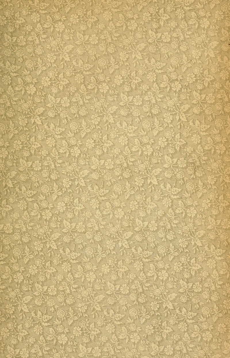 ^ä»}ffi^»i^ ^^sjt^ ^^^^^ffli'i'S ^p^m^ ntf 1 P m ^ w S9L K '■rm ijhZM ^^^^^™ '^fcr 3^^^^^ m m ^B i m