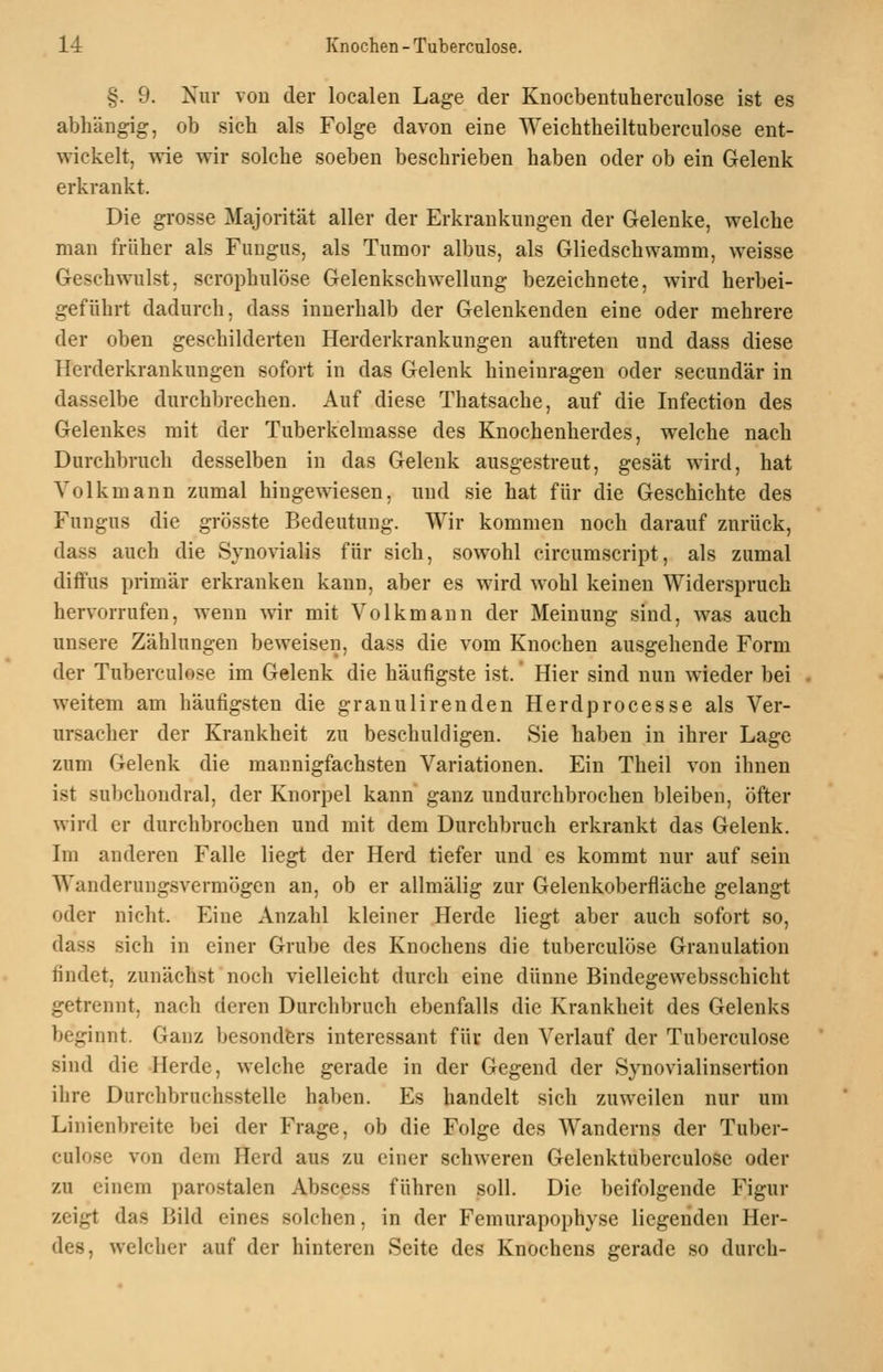 §. 9. Nur von der localen Lage der Knocbentuherculose ist es abhängig, ob sich als Folge davon eine Weichtheiltuberculose ent- wickelt, wie wir solche soeben beschrieben haben oder ob ein Gelenk erkrankt. Die grosse Majorität aller der Erkrankungen der Gelenke, welche man früher als Fungus, als Tumor albus, als Gliedschwamm, weisse Geschwulst, scrophulöse Gelenkschwellung bezeichnete, wird herbei- geführt dadurch, dass innerhalb der Gelenkenden eine oder mehrere der oben geschilderten Herderkrankungen auftreten und dass diese Herderkrankungen sofort in das Gelenk hineinragen oder secundär in dasselbe durchbrechen. Auf diese Thatsache, auf die Infection des Gelenkes mit der Tuberkelmasse des Knochenherdes, welche nach Durchbruch desselben in das Gelenk ausgestreut, gesät wird, hat Volkmann zumal hingewiesen, und sie hat für die Geschichte des Fungus die grösste Bedeutung. Wir kommen noch darauf zurück, dass auch die Synovialis für sich, sowohl circumscript, als zumal diffus primär erkranken kann, aber es wird wohl keinen Widerspruch hervorrufen, wenn wir mit Volkmann der Meinung sind, was auch unsere Zählungen beweisen, dass die vom Knochen ausgehende Form der Tuberculose im Gelenk die häufigste ist. Hier sind nun wieder bei weitem am häufigsten die granulirenden Herdprocesse als Ver- ursacher der Krankheit zu beschuldigen. Sie haben in ihrer Lage zum Gelenk die mannigfachsten Variationen. Ein Theil von ihnen ist subchondral, der Knorpel kann ganz undurchbrochen bleiben, öfter wird er durchbrochen und mit dem Durchbruch erkrankt das Gelenk. Im anderen Falle liegt der Herd tiefer und es kommt nur auf sein Wanderungsvermögen an, ob er allmälig zur Gelenkoberfläche gelangt oder nicht. Eine Anzahl kleiner Herde liegt aber auch sofort so, dass sich in einer Grube des Knochens die tuberculose Granulation findet, zunächst noch vielleicht durch eine dünne Bindegewebsschicht getrennt, nach deren Durchbruch ebenfalls die Krankheit des Gelenks beginnt. Ganz besonders interessant für den Verlauf der Tuberculose sind die -Herde, welche gerade in der Gegend der Synovialinsertion ihre Durchbruchs.stelle haben. Es handelt sich zuweilen nur um Linienbreite bei der Frage, ob die Folge des Wanderns der Tuber- culose von dem Herd aus zu einer schweren Gelenktuberculose oder zu einem parostalen Abscess führen soll. Die beifolgende Figur zeigt das Bild eines solchen, in der Femurapophyse liegenden Her- des, welcher auf der hinteren Seite des Knochens gerade so durch-