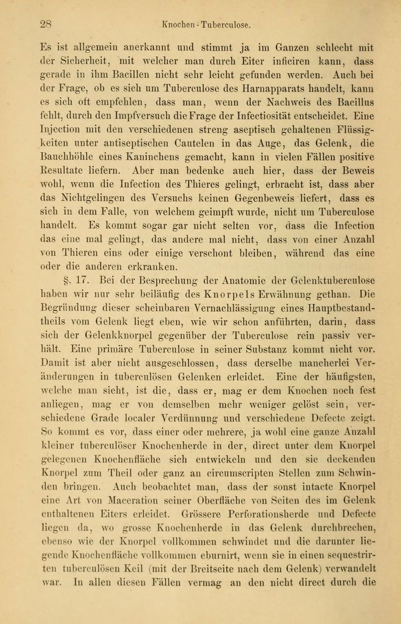 Es ist allgemeiu anerkannt und stimmt ja im Ganzen sclilecbt mit der Sicherheit, mit welcher man durch Eiter inficiren kann, dass gerade in ihm Bacillen nicht sehr leicht g-efunden werden. Auch bei der Frage, ob es sieb um Tuberculose des Harnapparats handelt, kann es sich oft empfehlen, dass man, wenn der Nachweis des Bacillus fehlt, durch den Impfversuch die Frage der Infectiosität entscheidet. Eine Injection mit den verschiedenen streng aseptisch gehaltenen Flüssig- keiten unter antiseptischen Cautelen in das Auge, das Gelenk, die Bauchhöhle eines Kaninchens gemacht, kann in vielen Fällen positive Resultate liefern. Aber man bedenke auch hier, dass der Beweis wohl, wenn die Infection des Thieres gelingt, erbracht ist, dass aber das Nichtgelingen des Versuchs keinen Gegenbeweis liefert, dass es sich in dem Falle, von welchem geimpft wurde, nicht um Tuberculose handelt. Es kommt sogar gar nicht selten vor, dass die Infection das eine mal gelingt, das andere mal nicht, dass von einer Anzahl von Thieren eins oder einige verschont bleiben, während das eine oder die anderen erkranken. §. 17. Bei der Besprechung der Anatomie der Gclenktuberculose haben wir nur sehr beiläufig des Knorpels Erwähnung gethan. Die Begründung dieser scheinbaren Vernachlässigung eines Hauptbestand- theils vom Gelenk liegt eben, wie Avir schon anführten, darin, dass sich der Gelenkknorpel gegenüber der Tuberculose rein passiv ver- hält. Eine primäre Tuberculose in seiner Substanz kommt nicht vor. Damit ist aber nicht ausgeschlossen, dass derselbe mancherlei Ver- änderungen in tuberculüscn Gelenken erleidet. Eine der häufigsten, welche man sieht, ist die, dass er, mag er dem Knochen noch fest anliegen, mag er von dcmsel1)cn mehr weniger gelöst sein, ver- schiedene Grade localer Verdünnung und verschiedene Defecte zeigt. So kommt es vor, dass einer oder mehrere, ja wohl eine ganze Anzahl kleiner tuberculöser Knochenherde in der, direct unter dem Knorpel gelegenen Knochenfläche sich entwickeln und den sie deckenden Knorj)el zum Tiicil oder ganz an circuniscripten Stellen zum Schwin- den bringen. Auch beobachtet man, dass der sonst iutacte Knorpel eine Art von Maceration seiner Oberfläche von Seiten des im Gelenk enthaltenen Eiters erleidet. Grössere Perforationsherde und Defecte liegen da, wo grosse Knocbenherde in das Gelenk durchbrechen, ebenso wie der Knorpel vollkommen schwindet und die darunter lie- gende Knochenfläche vollkommen eburnirt, wenn sie in einen sequestrir- tcn tu))crculöscn Keil (mit der Breitseite nach dem Gelenk) verwandelt war. In allen diesen Fällen vermag an den nicht direct durch die