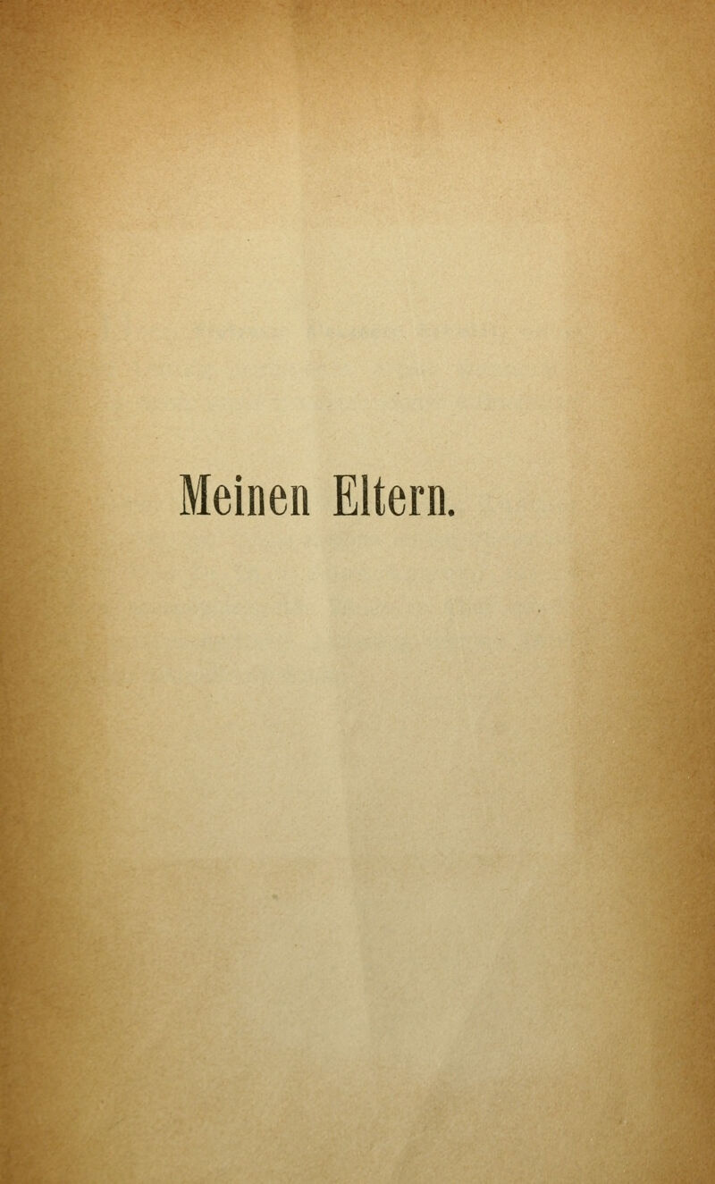 Meinen Eltern.