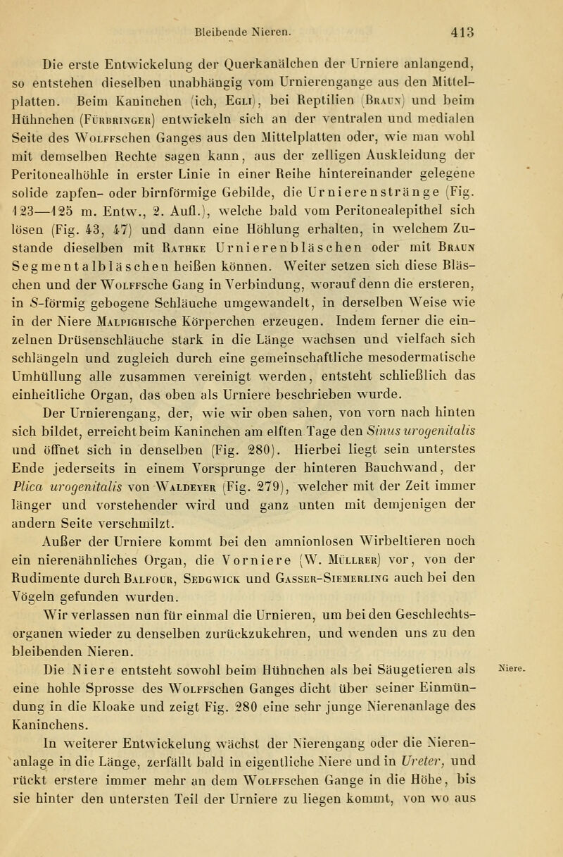 Die erste Entwicklung der Querkanälchen der Urniere anlangend, so entstehen dieselben unabhängig vom Urnierengange aus den Mittel- platten. Beim Kaninchen (ich, Egli), bei Reptilien (Braun) und beim Hühnchen (Fükbrixger) entwickeln sich an der ventralen und medialen Seite des WoLFFschen Ganges aus den Mittelplatten oder, wie man wohl mit demselben Rechte sagen kann, aus der zelligen Auskleidung der Peritonealhöhle in erster Linie in einer Reihe hintereinander gelegene solide zapfen- oder birnförmige Gebilde, die Urnierenstränge (Fig. 153—125 m. Entw., 2. Aufl.), welche bald vom Peritonealepithel sich lösen (Fig. 43, 47) und dann eine Höhlung erhalten, in welchem Zu- stande dieselben mit Rathke Urnierenbläschen oder mit Braun Segmentalbläscheu heißen können. Weiter setzen sich diese Bläs- chen und der WoLFFsche Gang in Verbindung, worauf denn die ersteren, in S-förmig gebogene Schläuche umgewandelt, in derselben Weise wie in der Niere MALPiGHische Körperchen erzeugen. Indem ferner die ein- zelnen Drüsenschläuche stark in die Länge wachsen und vielfach sich schlängeln und zugleich durch eine gemeinschaftliche mesodermatische Umhüllung alle zusammen vereinigt werden, entsteht schließlieh das einheitliche Organ, das oben als Urniere beschrieben wurde. Der Urnierengang, der, wie wir oben sahen, von vorn nach hinten sich bildet, erreicht beim Kaninchen am elften Tage den Sinus urogenitalis und öffnet sich in denselben (Fig. 280). Hierbei liegt sein unterstes Ende jederseits in einem Yorsprunge der hinteren Bauchwand, der Plica urogenitalis von Waldeyer (Fig. 279), welcher mit der Zeit immer länger und vorstehender wird und ganz unten mit demjenigen der andern Seite verschmilzt. Außer der Urniere kommt bei den amnionlosen Wirbeltieren noch ein nierenähnliches Organ, die Vorniere (W. Müllrer) vor, von der Rudimente durch Balfour, Sedgwick und Gasser-Siemerling auch bei den Vögeln gefunden wurden. Wir verlassen nun für einmal die Urnieren, um bei den Geschlechts- organen wieder zu denselben zurückzukehren, und wenden uns zu den bleibenden Nieren. Die Niere entsteht sowohl beim Hühnchen als bei Säugetieren als Niere. eine hohle Sprosse des WoLFFschen Ganges dicht über seiner Einmün- dung in die Kloake und zeigt Fig. 280 eine sehr junge Nierenanlage des Kaninchens. In weiterer Entwiekelung wächst der Nierengang oder die Nieren- anlage in die Länge, zerfällt bald in eigentliche Niere und in Ureter, und rückt erstere immer mehr an dem WoLFFschen Gange in die Höhe, bis sie hinter den untersten Teil der Urniere zu liegen kommt, von wo aus