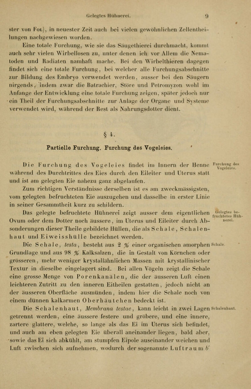 ticIeiiU's lluliiierei. «) sler von Fol), in neiu'.sl(>r Zeil aiidi bei \i('lcti i;o\\üliiiliciien Zcilcnllici- liinji,on iiacliiiiiw iosoii worden. Kine totale iHircliunt;, wie sie das Säui;elliierei durchmacht, koniiiil auch sehr vielen Wirbellosen zu, unter denen ich vor Allem die Nema- toden und Radiaten namhaft mache. Hei den Wiihelthieren daizeizen findet siel» eine totale Furchung, bei welcher alle Furchungsabschnitte zur JiiUhmg des Embryo verwendet werden, ausser bei den Säugern nirgends,- indem zwar die Batrachier, Störe und Petromyzon wohl im Anfange der Entwicklung eine totale Furclumg zeigen, später jedoch nur •ein Tlieil der Furchiingsabschnillc zur Anlage der Organe und Systeme verwendet wirti, wähieml der Rest als Nahrungsdotter dient. § 4- Partielle Furchung. Furchung des Vogeleies, ' Die Furciiunü des Voüeleies findet im Innern der Henne Fiirchung des «^ • vogeleies. Während des Durclitrittes des Eies durch den Eileiter und Uterus statt und ist am gelegten Eie nahezu ganz abgelaufen. Zum richtigen Verständnisse derselben ist es am zweckmässigsten, vom gelegten befruchteten Eie auszugehen und dasselbe in erster Linie in seiner Gesammtheit kurz zu schildern. Das gelegte befruchtete Hühnerei zeigt ausser dem eiyentlichen ^^'^'•'s'«''''/- ^ -> ci . fruohtetes Huh- Ovum oder dem Dotter noch äussere, im Uterus und Eileiter durch Ab- »•'■^ei. sonderungen dieser Theile gebildete Hüllen, die als Schale , Schalen- haut und Eiweisshülle bezeichnet werden. Die Schale, testa, besteht aus 2 ^ einer organischen amorphen S'^^'iaie Grundlage und aus 98 ^ Kalksalzen, die in Gestalt von Körnchen oder grösseren, mehr weniger krystallähnlichen Massen mit krystallinischer Textur in dieselbe eingelagert sind. Bei allen Vögeln zeigt die Schale eine grosse Menge von Porenkanälen, die der äusseren Luft einen leichteren Zutritt zu den inneren Eitheilen gestalten, jedoch nicht an der äusseren Oberfläche ausmünden, indem hier die Schale noch von einem dünnen kalkarmen Oberhäutchen liedeckt ist. Die Sclialenhaut, Membrana testae, kann leicht in zwei LagenSohaienhaut. getrennt werden, eine äussere festere und gröl)ere, und eine innere, zartere glattere, welche, so lange als das Ei im Uterus sich befindet, und auch am eben gelegten Eie überall aneinander liegen, bald aber, sowie das Ei sich abkühlt, am stumpfen Eipole auseinander weichen und Luft zwischen sich aufnehmen, wodurch der sosenannte Luf t r au m 6'