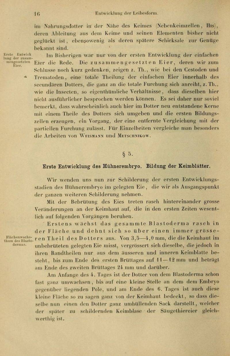 J (j lüilw icklunii der Loil)i'sri)nn. im NahriingsdolliM- in dir Milie des Keimes (Nel)onkeimzellen, His), deren Ableiluiiiz juls ileiii Keime und seinen Kiementen bisher' niehl lieizlüeivt ist , ebensowenig ;ds deren spiitei-e Seliicksjile zui- Genüge bekannt sind. Krst.- Kntwick j^ Bisherigen war nur von der ersten Knlwiekinnsi der einfachen lung der zusam- -' nidigesetzten ]7jg,,. ^jjjj Rede. Die Zusammengesetzten Eier, deren wir zum hier. - ' Schlüsse noch kurz gedenken, zeigen z. Th., wie bei den Gesloden und **• Tremaloden, eine totale Theiiung der einlachen Eier innerhalb des secundären Dotters, die ganz an die totale Furchung sich anreiht, z.Th., wie die Insecten, so eigenthümliche Verhältnisse, dass dieselben hier nicht ausführlicher bespi'ochen werden können. Es sei daher nur soviel bemerkt, dass wahrscheinlich auch hier im Dotter neu entstandene Kerne mil einem Theile des Dotters sich umgeben und die ersten Bildungs- zellen erzeugen, ein Vorgang, der eine entfernte Vcrgleichung nnt der partiellen Furchung zulässt. Für Einzelheilen vergleiche man besonders die Albeilen von Wkismann und Mktsciimkow. §5. Erste Entwicklung des Hühnerenibryo. Bildung der Keimblätter. Wir wenden uns nun zur Schilderung der ersten Enlwicklungs- sladien des llühnerembryo im gelegten Eie, die wir als Ausgangspunkt der ganzen weiteren Schilderung nehmen. Mit der Bebrütung des Eies treten rasch hintereinander grosse Veränderungen an der Keimhaut auf, die in den ersten Zeiten wesent- lich auf folgenden Vorgängen beruhen. Erstens wächst das gesammte Blastoilerma rasch in der Fläche und dehnt sich so über einen immer grösse- him d^HWaHtö-•'*' ^''P '' des Dotters aus. Von 3,5—4,0 mm, die die Keimhaut im dermiis. nnbebiüteten gelegten Eie misst, vergrösscrt sich dieselbe, die jedoch in ihren Uandllieilen nur aus dem äusseren und inneren Keimblatle be- steht. bis zum Ende des ersten Brüttages auf I I— 12 mm und beträgt am I'jide des zweiten Brüttages 24 mm und darüber. Am Anfange des 4. Tages isl der Dotier von dem Blastoderma schon fasl ganz umwachsen, bis auf eine kleine Slelle an dem dem l'^mbryo gegenüber liegenden Fol(>, und am Ende des (5. Tages ist auch diese kleine l-läche so zu sagen ganz \ on dei- Keimliaul bedeckt, so dass die- selbe nun einen den Doller ganz iimliiillenden Sack darslellt, welcher der später zu schildernden Keimblase dei- Säugethierei(U- gleich- werlluL' isl.