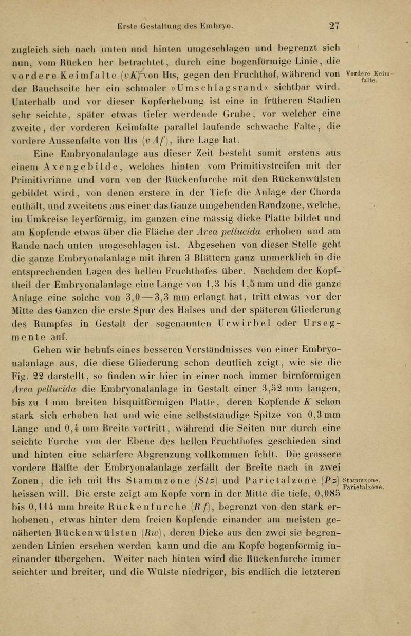 zugleich sich n;icli imicn iiiid hinh-n uiii!j;eschlagen und begrenzt sich nun, vom Rücken her belrachlot, (Kirch eine bogenloiiiiigo Linie, die vordere Keim falte (lA^Aon llis, gegen den Fruchlliof, während von Vordere^Kein tler Bauchseile her ein schmaler »Umschlagsrand» sichtbar wird. Unterhalb und vor dieser Kopferhebung ist eine in früheren Stadien sehr seichte, später etwas tiefer werdende (irube, vor welcher eine zweite, der vorderen Keimfalte parallel laufende schwache Falte, die vordere Aussenfalte von His [vAf]^ ihre Lage hat. Eine Embryonalanlage aus dieser Zeit besteht .somit erstens aus einem Axe n g e b i I d e , welches hinten vom Primitivslreifen mit der Priiiiilivriiine und vorn von der Rückenfurche mit den Rückenwülsten gebildet wird, von denen erstere in der Tiefe die Anlage der Chorda enthält, und zweitens aus einer das Ganze umgebenden Randzone, welche, im l'mkreise leyerförmig, im ganzen eine massig dicke Platte bildet und am Kopfende etwas über die Fläche der Area pellucida erhoben und am Rande nach unten umgeschlagen ist. Abgesehen von dieser Stelle gehl die ganze Embryonalanlage mit ihren 3 Blättern ganz unmerklich in die entsprechenden Lagen des hellen Fruchthofes über. Nachdem der Kopf- theil der Eu)bryonalanlage eine Länge von 1,3 bis 1,5 mm und die ganze Anlage eine solche von 3,0 — 3,3 mm erlangt hat, tritt etwas vor der Mitte des Ganzen die erste Spur des Halses und der späteren Gliederung des Rumpfes in Gestalt der sogenannten Urwirbel oder Urseg- mente auf. Gehen w ir behufs eines besseren Verständnisses von einer Embryo- nalanlage aus, die diese Gliederung schon deutlich zeigt, wie sie die Fig. 22 darstellt, so finden wir hier in einer noch immer birnförmigen Area pellucida die Embryonalanlage in Gestalt einer 3,52 mm langen, l)is zu t nun breiten bis(piitförmigen Platte, deren Kopfende K schon stark sich erhoben hat und wie eine sell)stsländige Spitze von 0.3mm Länge und 0,4 nun Breite vortritt, während die Seiten nur durch eine seichte Furche von der Ebene des hellen Fruchthofes geschieden sind und hinten eine schärfere Abgrenzung vollkonuuen fehlt. Die grössere vordere Hälfte der Erabryonalanlage zerfällt der Breite nach in zwei Zonen, die ich mit His Stammzone iStz) und Pai'ie t alzone (P^i Stammzone. Parietalzone. heissen will. Die erste zeigt am Kopfe vorn in der Mitte die tiefe, 0,085 bis 0.1 14 UHU breite Rückenfurche [R f\, begrenzt von den stark er- hobenen , etwas hinter dem freien Kopfende einander am meisten ge- näherten Rückenwülsten [Hic). deren Dicke aus den zwei sie begren- zenden Linien ersehen werden kann und die am Kopfe bogenförmig in- einander übergehen. Weiter nach hinten wird die Rückenfurche immer seichter und breiter, und die Wülste niedriger, bis endlich die letzteren