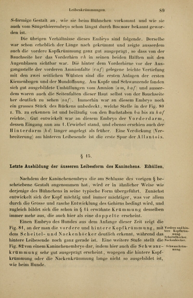 Li'ilirsk i'iiIII HilliiL^i'n. ^9 S-föriniiic Gostall ,in , wio sie heim llülinclien vorkoinint und wie sie auch vom SäUij;elliierenil)ryo schon liiiiiist durch Uisciiokf bekannt i^ewor- den ist. Die Ul)riij;en Verhältnisse dieses KmhVyo sind folgende. Derselbe war schon ei-heblich dei- fJinge nach t;ekrümmt und zeii^le ausserdem auch die vordere Koplkrümmunü; ij;anz i;nt ausiijepräij;!, so dass von der Bauchseite her das Vorderhirn rli in seinen l)ei(lon IliiHten mit den Augenblasen sichtbar war. Die hinter dem Vorderhirne vor der Aus- gangsstelle der vorderen Anniionfalte [vaf) gelegene leichte Vertiefung mit den zwei seitlichen Wülsten sind die ersten Anlagen der ersten Kiemenbogen und der MundöfTnung. Am Kopfe und Schwan/ende fanden sich gut ausgebildete Umhüllungen vom Amnion [am, liaf] und ausser- dem waren auch die Seitenfallen dieser Haut selbst von der Bauchseite her deutlich zu sehen [saf). Immerhin war an diesem Embryo noch ein grosses Stück des Rückens unbedeckt, welche Stelle in der Fig. 80 z. Th. zu erkennen ist und beiläufig von den Buchstaben ha bis zu haf reichte. Gut entwickelt war an diesem Embryo der Vorderdarn), dessen Eingang nun am I. Urwirbel stand, und el)enso erschien auch der Hinterdarm [hd] länger angelegt als früher. Eine Verdickung (Ver- breiterung) am hinteien Leibesende ist die erste Spur der Allantois. Letzte Ausbildung der äusseren Leibesform des Kaninchens. EihüUen. Nachdem der Kaninchenembryo die am Schlüsse des vorigen § be- schriebene Gestalt angenommen hat, wird er in ähnlicher Weise wie derjenige des Hühnchens in seine typische Form übergeführt. Zunächst entwickelt sich der Kopf mächtig und innner mächtiger, was vor allem durch die Grösse und rasche Entwicklung des Gehirns bedingt wird, und zugleich bildet sich die schon in § 14 erwähnte Krümmung desselben immer mehr aus, die auch hier als eine doppelte erscheint. Einen Embryo des Hundes aus dem Anfange dieser Zeit zeigt die Fig. 81, an der man die vordere und hintere Kopfkrümm ung, mit vordere «ndinn- . ' tere Kopfkrüm- dem Scheitel-und Nacken höcker deutlich erkennt, während das mung. Scheitelhöcker. hintere Leibesende noch ganz gerade ist. Eine weitere Stufe stellt die Nackenhöcker. Fig. 82 von einem Kaninchenembryo dar, indem hierauch die Schwanz- Schwanzkrüm- 1  ^ e mung. krümm ung sehr gut ausgeprägt erscheint, wogegen die hintere Kopf- krümmung oder die Nackenkrümmung lange nicht so ausgebildet ist, wie beim Hunde.