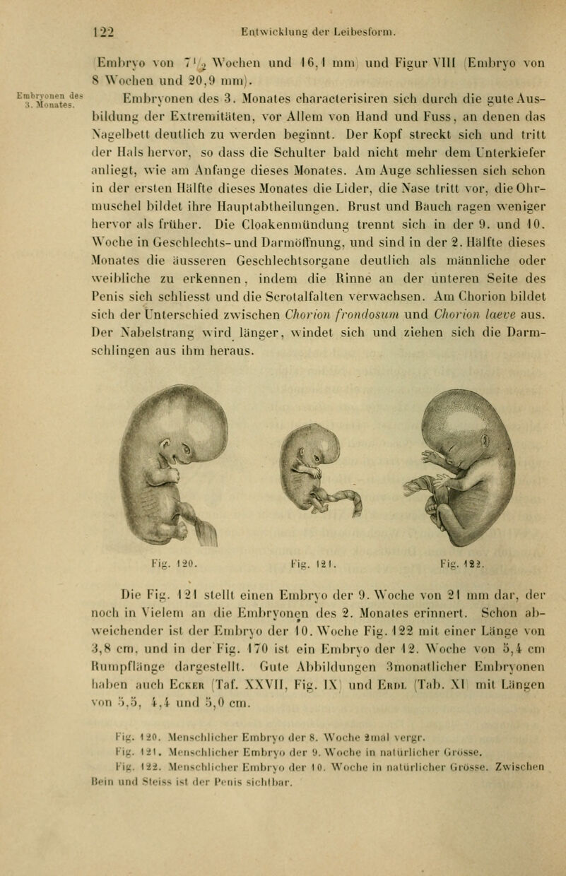 Embryonen des :i. Monates. Emhrvo von 7'o Wochen und 16,1 mm und Fisur VllI Embrvo von 8 Wochen und 20,9 mm). Eml)ryonen des 3. Monates characlerisiren sich durch die guteAus- bihlung der Extremitäten, vor Allem von Hand und Fuss, an denen das Nagelbett deutlich zu werilen beginnt. Der Kopf streckt sich und tritt der Hals hervor, so dass die Schulter bald nicht mehr dem Unterkiefer anliegt, wie am Anfange dieses Monates. Am Auge schliessen sich schon in der ersten Hälfte dieses Monates die Lider, die Nase tritt vor, die Ohr- muschel bildet ihre Hauptabtheilungen. Brust und Bauch ragen weniger hervor als früher. Die Cloakenmündung trennt sich in der 9. und 10. Woche in Geschlechts-und DarmötTnung, und sind in der 2. Hälfte dieses Monates die äusseren Geschlechtsorgane deutlich als männliche oder weil)liche zu erkennen, indem die Rinne an der unteren Seite des Penis sich schliesst und die Scrotalfalten verwachsen. Am Chorion bildet sich der Unterschied zwischen Chorion frondosum und Chorion laeve aus. Der Nabelstrang wird länger, windet sich und ziehen sich die Darm- schlinsen aus ihm heraus. Vi'' t-20. 122. Die Fig. 121 stellt einen Embryo der 9. Woche von 21 nun dar, der noch in Vielem an die Embryonen des 2. Monates erinnert. Schon ab- weichender ist der End^ryo der 10. Woche Fig. 122 mit einer Länge von 3,8 cm. und in der Fig. 170 ist ein End)r\o der 12. Woche von 5,4 cm iiimipflimgc dargestellt. Gute Abbildungen Smonatlicher Eml)ryonen haben auch Ecker (Taf. XWIL Fig. IX und Eitin. fTal). XI mit Längen von •).ö. i.4 und 5,0 cm. Ng. MO. Mcnscliliclicr Embryo der 8. Woche iiiial vergr. Kig. 12). .Mcfiscliliclier Kmbryo der 9. Wdctic in natürlictier (ircisse. Kig. \ii. .Mciischliclicr Enibr\o der 10. Woche in naliiriiclier (irüsse. Zwisclicn Bein und Steiss ist der Penis siclilbar.