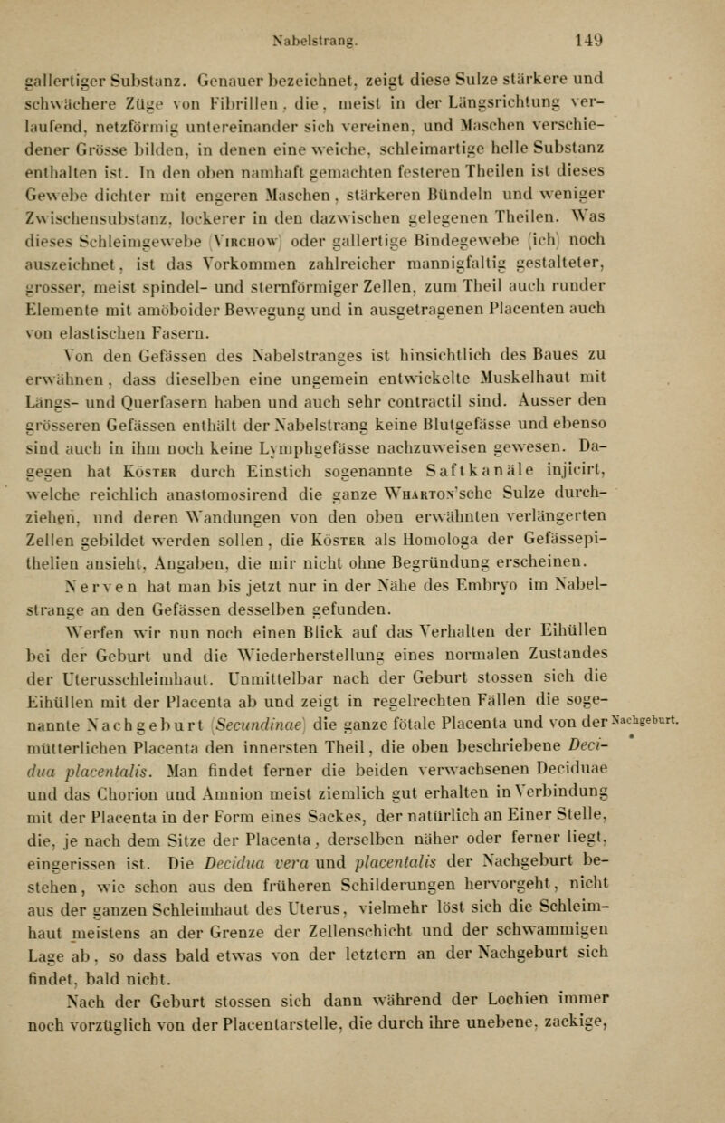 gallertiger Substanz. Genauer bezeichnet, zeigt diese Sülze stärkere und schwächere Züge von Fibrillen, die. meist in der Längsrichtung ver- laufend, netzförmig untereinaniler sich vereinen, und Maschen verschie- dener Grösse bilden, in denen eine weiche, schleimartige helle Substanz enthalten ist. In den oben namhaft gemachten festeren Theilen ist dieses Gewel>e dichter mit engeren Maschen , stärkeren Bündeln und weniger Zwischensubstanz, lockerer in den dazwischen gelegenen Theilen. Was dieses Schleimgewebe Virchow oder gallertige Bindegewebe (ich) noch auszeichnet, ist das Vorkommen zahlreicher mannigfaltig gestalteter, grosser, meist spindel- und sternförmiger Zellen, zum Theil auch runder Elemente mit amöboider Bewegung und in ausgetragenen Placenten auch von elastischen Fasern. Von den Gefässen des Nabelstranges ist hinsichtlich des Baues zu erwähnen, dass dieselben eine ungemein entwickelte Muskelhaut mit Längs- und Querfasern haben und auch sehr contractu sind. Ausser den grösseren Gefässen enthält der Nabelstrang keine Blutgefässe und ebenso sind auch in ihm noch keine Lymphgefässe nachzuweisen gewesen. Da- gegen hat KösTER durch Einstich sogenannte Saftkanäle injicirt, welche reichlich anastomosirend die ganze WHARTox'sche Sülze durch- ziehen, und deren Wandungen von den oben erwähnten verlängerten Zellen gebildet werden sollen, die Köster als Homologa der Gefässepi- thelien ansieht. Angaben, die mir nicht ohne Begründung erscheinen. Nerven hat man bis jetzt nur in der Nähe des Embryo im Nabel- strange an den Gefässen desselben gefunden. Werfen wir nun noch einen Blick auf das Verhallen der Eihüllen bei der Geburt und die Wiederherstellung eines normalen Zustandes der Uterusschleimhaut. Unmittelbar nach der Geburt stossen sich die Eihüllen mit der Placenla ab und zeigt in regelrechten Fällen die soge- nannte Nachgeburt iSecundinae] die ganze fötale Placenta und von der ^'^'^iige^'^rt. mütterlichen Placenta den innersten Theil, die oben beschriebene Decl- dua placentalis. Man findet ferner die beiden verwachsenen Deciduae und das Chorion und Amnion meist ziemlich gut erhalten in Verbindung mit der Placenta in der Form eines Sackes, der natürlich an Einer Stelle, die. je nach dem Sitze der Placenta, derselben näher oder ferner liegt, eingerissen ist. Die Decidiia vera und placentalis der Nachgeburt be- stehen , wie schon aus den früheren Schilderungen hervorgeht, nicht aus der ganzen Schleimhaut des Uterus, vielmehr löst sich die Schleim- haut meistens an der Grenze der Zellenschicht und der schwammigen Lage ab. so dass bald etwas von der letztern an der Nachgeburt sich findet, bald nicht. Nach der Geburt stossen sich dann während der Lochien immer noch vorzüglich von der Placentarstelle, die durch ihre unebene, zackige,