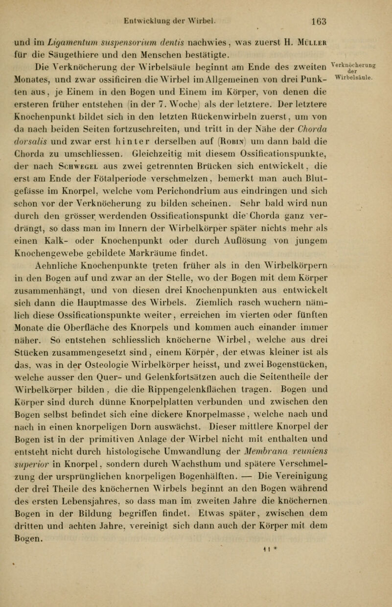 Eiitwicklunj^ der NViibel. I(j3 und \n\ Lüjamentum Suspensorium dentis nachwies, was zuerst H. Müller für die Säugelhiere und den Menschen bestätigte. Die Verknöcheruug der Wirbeisäule l>eginnt am Ende des zweiten Verknocherung Monates, und zwar ossificiren die Wirbel im Allgemeinen von drei Punk- Wirbelsäule. ten aus. je Einem in den Bogen und Einem im Körper, von denen die ersteren früher entstehen in der 7. Woche als der letztere. Der letztere Knochenpunkt bildet sich in den letzten Rückenwirbeln zuerst, um von da nach beiden Seiten fortzuschreiten, und tritt in der Nähe der Chorda dorsalis und zwar erst hinter derselben auf (Robi.n um dann bald die Chorda zu umschliessen. Gleichzeitig mit diesem Ossificationspunkte, der nach Schwegel aus zwei getrennten Brücken sich entwickelt. die erst am Ende der Fötalperiode verschmelzen, bemerkt man auch Blut- gefässe im Knorpel, welche vom Perichondrium aus eindringen und sich schon vor der Verknöcherung zu bilden scheinen. Sehr bald wird nun durch den grösser werdenden Ossificationspunkt die Chorda ganz ver- drängt, so dass man im Innern der Wirbelkörper später nichts mehr als einen Kalk- oder Knochenpunkt oder durch Auflösung von jungem Knochengewebe gebildete Markräume findet. Aehnliche Knochenpunkte t^reten früher als in den Wirbelkörpern in den Bogen auf und zwar an der Stelle, wo der Bogen mit dem Körper zusammenhängt, und von diesen drei Knochenpunkten aus entwickelt sich dann die Hauptmasse des Wirbels. Ziemlich rasch wuchern näm- lich diese Ossificationspunkte weiter, erreichen im vierten oder fünften Monate die Oberfläche des Knorpels und kommen auch einander immer näher. So entstehen schliesslich knöcherne Wirbel, w eiche aus drei Stücken zusammengesetzt sind, einem Körper, der etwas kleiner ist als das. was in der Osteologie Wirbelkörper heisst, und zwei Bogenstücken, welche ausser den Quer- und Gelenkfortsätzen auch die Seitenlheile der Wirbelköi*per bilden, die die Rippengelenkflächen tragen. Bogen und Körper sind durch dünne Knorpelplatten verbunden und zwischen den Bogen selbst befindet sich eine dickere Knorpelmasse, w eiche nach und nach in einen knorpeligen Dorn ausw^ächst. Dieser mittlere Knorpel der Bogen ist in der primitiven Anlage der Wirbel nicht mit enthalten und entsteht nicht durch histologische Umwandlung der Membrana reuniens superior in Knorpel, sondern durch Wachsthum und spätere Verschmel- zung der ursprünglichen knorpeligen Bogenhälften. — Die Vereinigung der drei Theile des knöchernen Wirbels beginnt an den Bogen während des ersten Lebensjahres, so dass man im zweiten Jahre die knöchernen Bogen in der Bildung begriffen findet. Etwas später, zwischen dem dritten und achten Jahre, vereinigt sich dann auch der Körper mit dem Bogen. 11 *