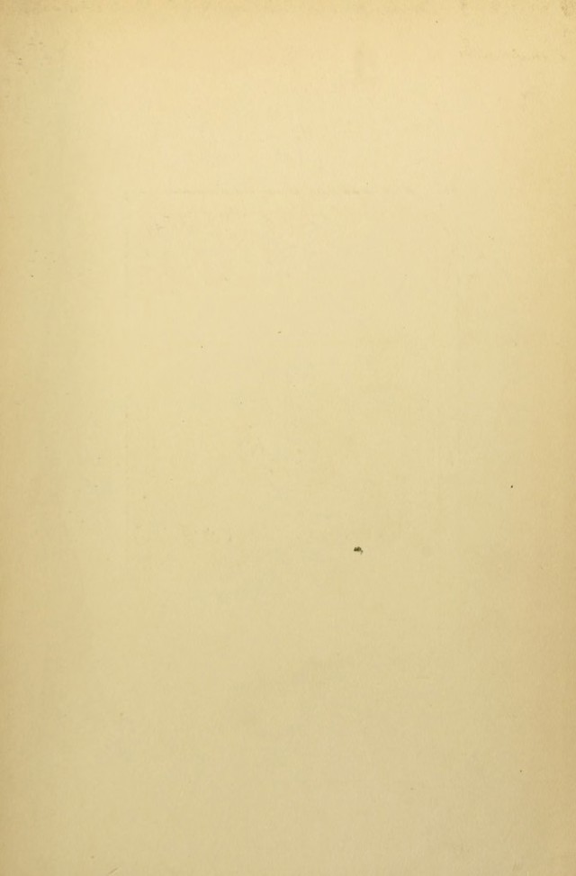 digitised image 3