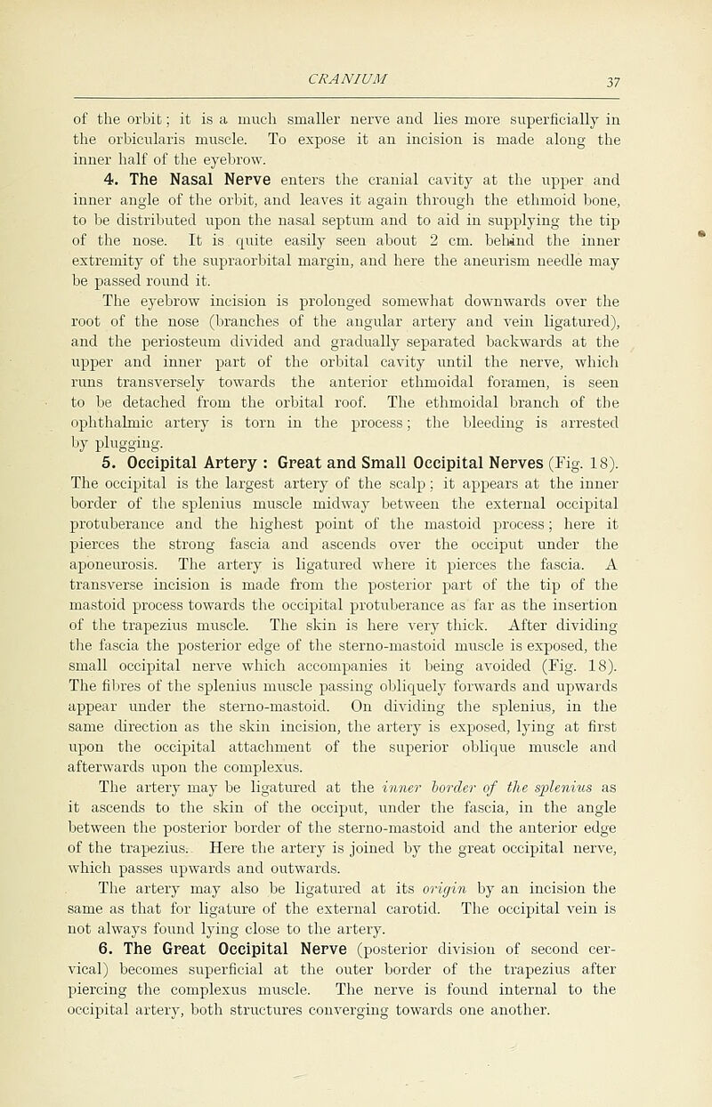 of the orbit; it is a much smaller nerve and lies more superficially in the orbicularis muscle. To expose it an incision is made along the inner half of the eyebrow. 4. The Nasal Nerve enters the cranial cavity at the upper and inner angle of the orbit, and leaves it again through the ethmoid bone, to be distributed upon the nasal septum and to aid in supplying the tip of the nose. It is quite easily seen about 2 cm. behind the inner extremity of the supraorbital margin, and here the aneurism needle may be passed round it. The eyebrow incision is prolonged somewhat downwards over the root of the nose (branches of the angular artery and vein ligatured), and the periosteum divided and gradually separated backwards at the upper and inner part of the orbital cavity until the nerve, which runs transversely towards the anterior ethmoidal foramen, is seen to be detached from the orbital roof. The ethmoidal branch of the ophthalmic artery is torn in the process; the bleeding is arrested by plugging. 5. Occipital Artery : Great and Small Occipital Nerves (Fig. 18). The occipital is the largest artery of the scalp; it appears at the inner border of the splenius muscle midway between the external occipital protuberance and the highest point of the mastoid process; here it pierces the strong fascia and ascends over the occiput under the aponeurosis. The artery is ligatured where it pierces the fascia. A transverse incision is made from the posterior part of the tip of the mastoid process towards the occipital protuberance as far as the insertion of the trapezius muscle. The skin is here very thick. After dividing the fascia the posterior edge of the sterno-mastoid muscle is exposed, the small occipital nerve which accompanies it being avoided (Fig. 18). The fibres of the splenius muscle passing obliquely forwards and upwards appear under the sterno-mastoid. On dividing the splenius, in the same direction as the skin incision, the artery is exposed, lying at first upon the occipital attachment of the superior oblique muscle and afterwards upon the complexus. The artery may be ligatured at the inner border of the splenius as it ascends to the skin of the occiput, under the fascia, in the angle between the posterior border of the sterno-mastoid and the anterior edge of the trapezius. Here the artery is joined by the great occipital nerve, which passes upwards and outwards. The artery may also be ligatured at its origin by an incision the same as that for ligature of the external carotid. The occipital vein is not always found lying close to the artery. 6. The Great Occipital Nerve (posterior division of second cer- vical) becomes superficial at the outer border of the trapezius after piercing the complexus muscle. The nerve is found internal to the occipital artery, both structures converging towards one another.