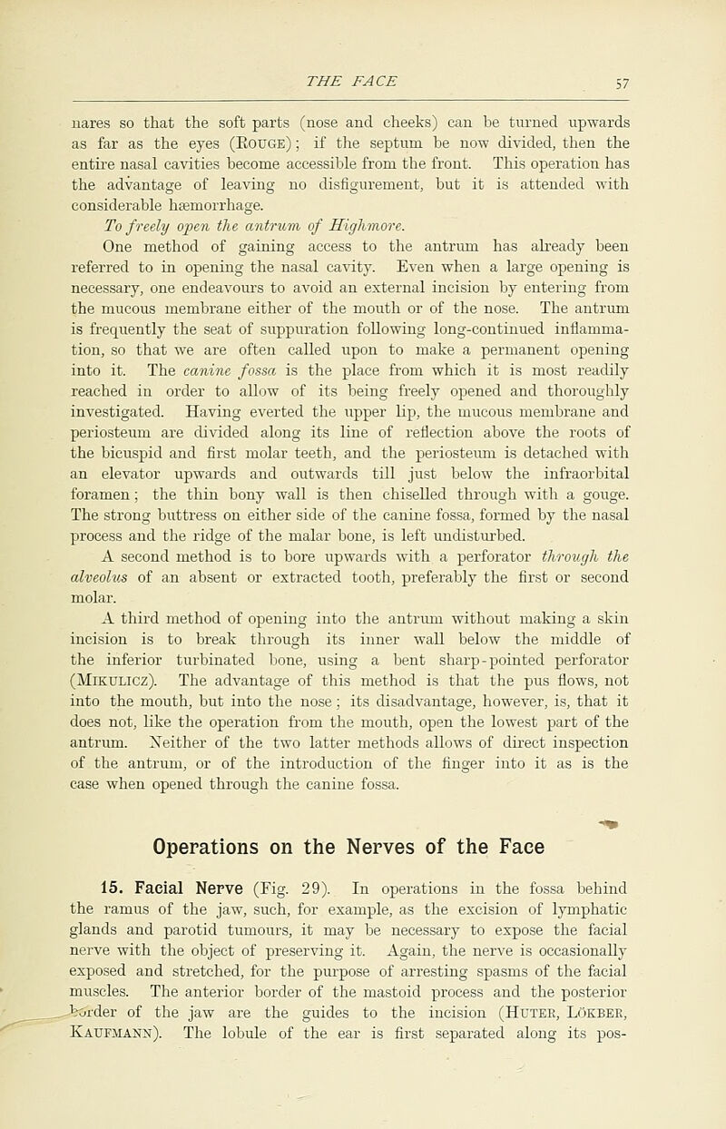 nares so that the soft parts (nose and cheeks) can he turned upwards as far as the eyes (Eouge) ; if the septum be now divided, then the entire nasal cavities hecome accessible from the front. This operation has the advantage of leaving no disfigurement, but it is attended with considerable haemorrhage. To freely open the antrum of Highmore. One method of gaining access to the antrum has already been referred to in opening the nasal cavity. Even when a large opening is necessary, one endeavours to avoid an external incision by entering from the mucous membrane either of the mouth or of the nose. The antrum is frequently the seat of suppuration following long-continued inflamma- tion, so that we are often called upon to make a permanent opening into it. The canine fossa is the place from which it is most readily reached in order to allow of its being freely opened and thoroughly investigated. Having everted the upper lip, the mucous membrane and periosteum are divided along its line of reflection above the roots of the bicuspid and first molar teeth, and the periosteum is detached with an elevator upwards and outwards till just below the infraorbital foramen; the thin bony wall is then chiselled through with a gouge. The strong buttress on either side of the canine fossa, formed by the nasal process and the ridge of the malar bone, is left undisturbed. A second method is to bore upwards with a perforator through the alveolus of an absent or extracted tooth, preferably the first or second molar. A third method of opening into the antrum without making a skin incision is to break through its inner wall below the middle of the inferior turbinated bone, using a bent sharp-pointed perforator (Mikulicz). The advantage of this method is that the pus flows, not into the mouth, but into the nose; its disadvantage, however, is, that it does not, like the operation from the mouth, open the lowest part of the antrum. Neither of the two latter methods allows of direct inspection of the antrum, or of the introduction of the finger into it as is the case when opened through the canine fossa. Operations on the Nerves of the Face 15. Facial Nerve (Fig. 29). In operations in the fossa behind the ramus of the jaw, such, for example, as the excision of lymphatic glands and parotid tumours, it may be necessary to expose the facial nerve with the object of preserving it. Again, the nerve is occasionally exposed and stretched, for the purpose of arresting spasms of the facial muscles. The anterior border of the mastoid process and the posterior border of the jaw are the guides to the incision (Hutek, Lokber, Katjfmann). The lobule of the ear is first separated along its pos-