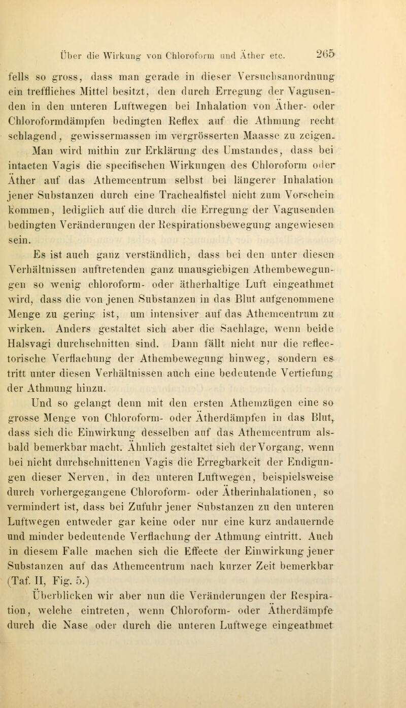 felis so gross, dass man gerade in dieser Versuchsanoränung ein treffliches Mittel besitzt, den durch Erregung der Vagusen- den in den unteren Luftwegen bei Inhalation von Äther- oder Chloroformdämpfen bedingten Reflex auf die Athnmng recht schlagend, gewissennassen im vergrösserten Maasse zu zeigen. Man wird mithin zur Erklärung des Ullistandes, dass bei intacten Vagis die specitischen Wirkungen des Chloroform oder Äther auf das Athemcentrum selbst bei längerer Inhalation jener Substanzen durch eine Trachealfistel nicht zum Vorschein kommen , lediglich auf die durch die Erregung der Vagusenden bedingten Veränderungen der Respirationsbewegung angewiesen sein. Es ist auch ganz verständlich, dass bei den unter diesen Verhältnissen auftretenden ganz unausgiebigen Athembewegun- gen so wenig Chloroform- oder ätherhaltige Luft eingeathmet wird, dass die von jenen Substanzen in das Blut aufgenommene Menge zu gering ist, um intensiver auf das Athemcentrum zu wirken. Anders gestaltet sich aber die Sachlage, wenn beide Halsvagi durchschnitten sind. Dann fällt nicht nur die reflec- torische Verflachung der Athembewegung hinweg, sondern es tritt unter diesen Verhältnissen auch eine bedeutende Vertiefung der Athnmng hinzu. Und so gelangt denn mit den ersten Athemzügen eine so grosse Menge von Chloroform- oder Atherdämpfen in das Blutr dass sich die Einwirkung desselben auf das Athemcentrum als- bald bemerkbar macht. Ahnlich gestaltet sich der Vorgang, wenn bei nicht durchschnittenen Vagis die Erregbarkeit der Endigun- gen dieser Nerven, in den unteren Luftwegen, beispielsweise durch vorhergegangene Chloroform- oder Atherinhalationen, so vermindert ist, dass bei Zufuhr jener Substanzen zu den unteren Luttwegen entweder gar keine oder nur eine kurz andauernde und minder bedeutende Verflachung der Athmung eintritt. Auch in diesem Falle machen sich die Effecte der Einwirkung jener Substanzen auf das Athemcentrum nach kurzer Zeit bemerkbar (Taf. II, Fig. 5.) Überblicken wir aber nun die Veränderungen der Respira- tion, welche eintreten, wenn Chloroform- oder Atherdämpfe durch die Nase oder durch die unteren Luftwege eingeathmet