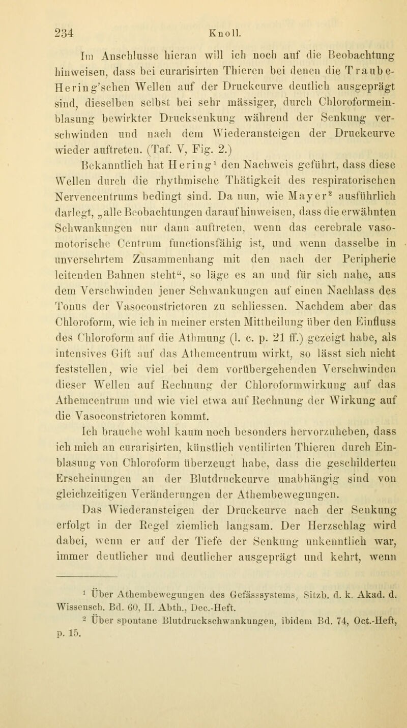 Im Anschlüsse hieran will ich noch auf die Beobachtung hinweisen, dass bei curarisirten Thieren bei denen die Traube- Hering'schen Wellen auf der Druckcurve deutlich ausgeprägt sind, dieselben selbst bei sehr massiger, durch Chloroformein- blasung bewirkter Drucksenkung während der Senkung ver- schwinden und nach dem Wiederansteigen der Druckcurve wieder auftreten. (Taf. V, Fig. 2.) Bekanntlich hat Hering1 den Nachweis geführt, dass diese Wellen durch die rhythmische Thätigkeit des respiratorischen Nervencentrums bedingt sind. Da nun, wie Mayer2 ausführlich darlegt, „alle Beobachtungen daraufhinweisen, dass die erwähnten Schwankungen nur dann auftreten, wenn das cerebrale vaso- motorische Centrum functionsfähig ist, und wenn dasselbe in unversehrtem Zusammenhang mit den nach der Peripherie leitenden Bahnen steht, so läge es an und für sich nahe, aus dem Verschwinden jener Schwankungen auf einen Nachlass des Tonus der Vasoeonstrictoren zu schliessen. Nachdem aber das Chloroform, wie ich in meiner ersten Mittheilung über den Einfluss des Chloroform auf die Atlimung (1. c. p. 21 ff.) gezeigt habe, als intensives Gift auf das Athemcentrum wirkt, so lässt sich nicht feststellen, wie viel bei dem vorübergehenden Verschwinden dieser Wellen auf Rechnung der Chloroformwirkung auf das Athemcentrum und wie viel etwa auf Rechnung der Wirkung auf die Vasoconstrictoren kommt. Ich brauche wohl kaum noch besonders hervorzuheben, dass ich mich an curarisirten, künstlich ventilirten Thieren durch Ein- blasung von Chloroform überzeugt habe, dass die geschilderten Erscheinungen an der Blntdrnckcurve unabhängig sind von gleichzeitigen Veränderungen der Athembewegungen. Das Wiederansteigen der Druckcurve nach der Senkung erfolgt in der Regel ziemlich langsam. Der Herzschlag wird dabei, wenn er auf der Tiefe der Senkung unkenntlich wTar, immer deutlicher und deutlicher ausgeprägt und kehrt, wenn 1 Über Athembewegungen des Gefäsusystems, Sitzb. cl. k. Akad. d. Wissensch. Bd. 60, II. Abth., Dec.-Heft. '-' Über spontane Blutdruckschwankungen, ibidem Bd. 74, Oct.-Heft, p. 1).