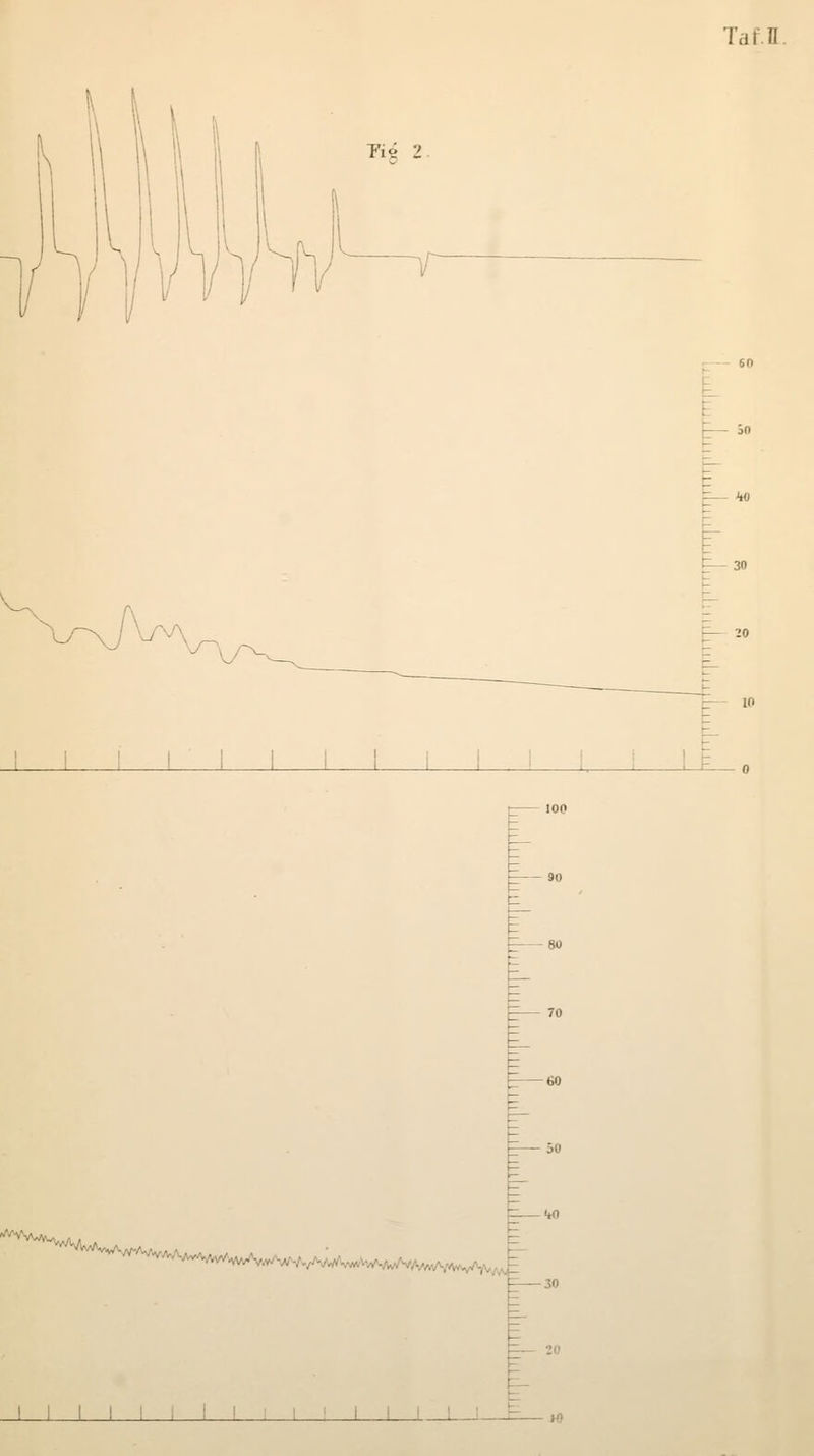 Taf.lL Yi<t 1 F— 30 j L ^^/WUWv-Av-wvA ***AV*, J L_JL