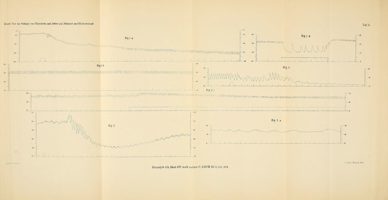 Knolltütier ihe Wirlain» von ChloToformund.Aelheraui'.-VhnLurt? und Blutkreislauf i/AvWvvyyVVVvVVYwvwVVVV' >v N '■-'''' I '.'«H„ D L li Ü J I J_ WVWVWWWWWVVVWWljV/VVV i : I i i i ! i L I I I I I I 1 L 2o _j wwwwwin/wwvwwvi f i E = i 1 ! 1 1 ! 1 1 ! 1 ! 1 1 ll 1 , ,r 2» -j MflWi/WWWWWWwwvwwv^ hWMIWMWmmN^WWWW^-» 10-j 1 1 1 1 1 1 1 1 1 1 1 ,' ! 1 t i E , £L r I I 1 I I I L IkaM/Wiwv/^^ WWVW\/vw-/VVWWVWWVVVW\^^ J I I I I 1 I I I I 50—= ^v^V^ -\ 1 h 30 -= IV V V^^'' '' ' r 2(1 i 171 i i i , ; III! = 1 . 3 I ._L j'-jü<Y'VT<i^:-.jr Wirr Sitzunssb. d.k.Akad d W. nLafli. natura 0 - LXXVII1. HiI.UtAbtk.i878.